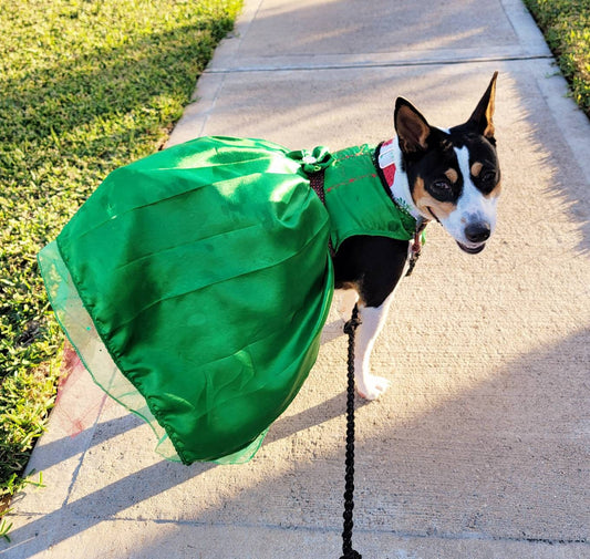 Pet Holiday dresses, dog holiday dress, pet Christmas dress, green pet dress, dog Christmas dress, cat holiday dress, holiday dresses pets