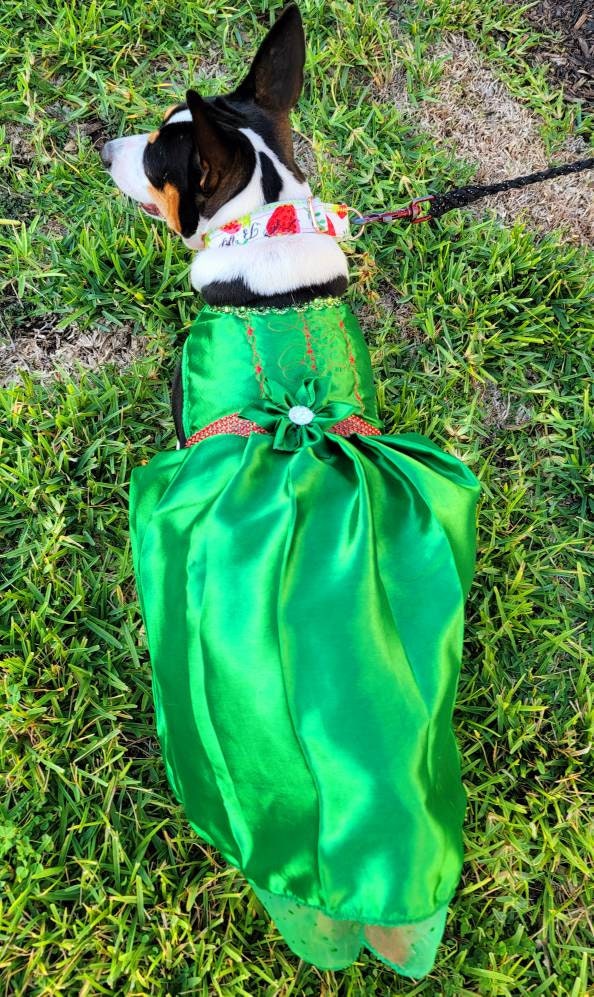 Pet Holiday dresses, dog holiday dress, pet Christmas dress, green pet dress, dog Christmas dress, cat holiday dress, holiday dresses pets