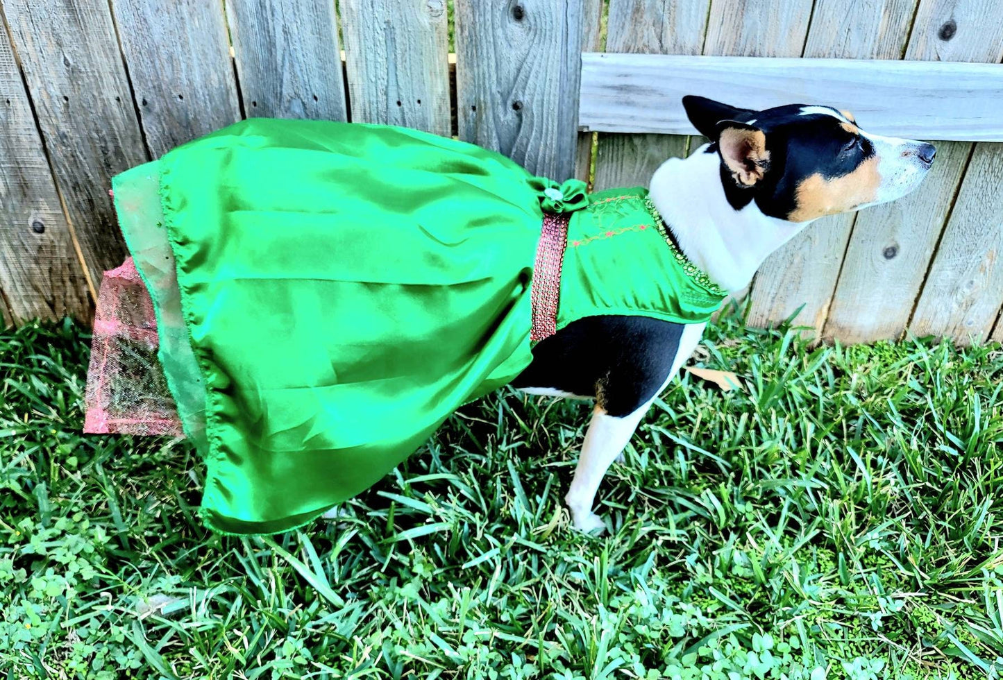 Pet Holiday dresses, dog holiday dress, pet Christmas dress, green pet dress, dog Christmas dress, cat holiday dress, holiday dresses pets