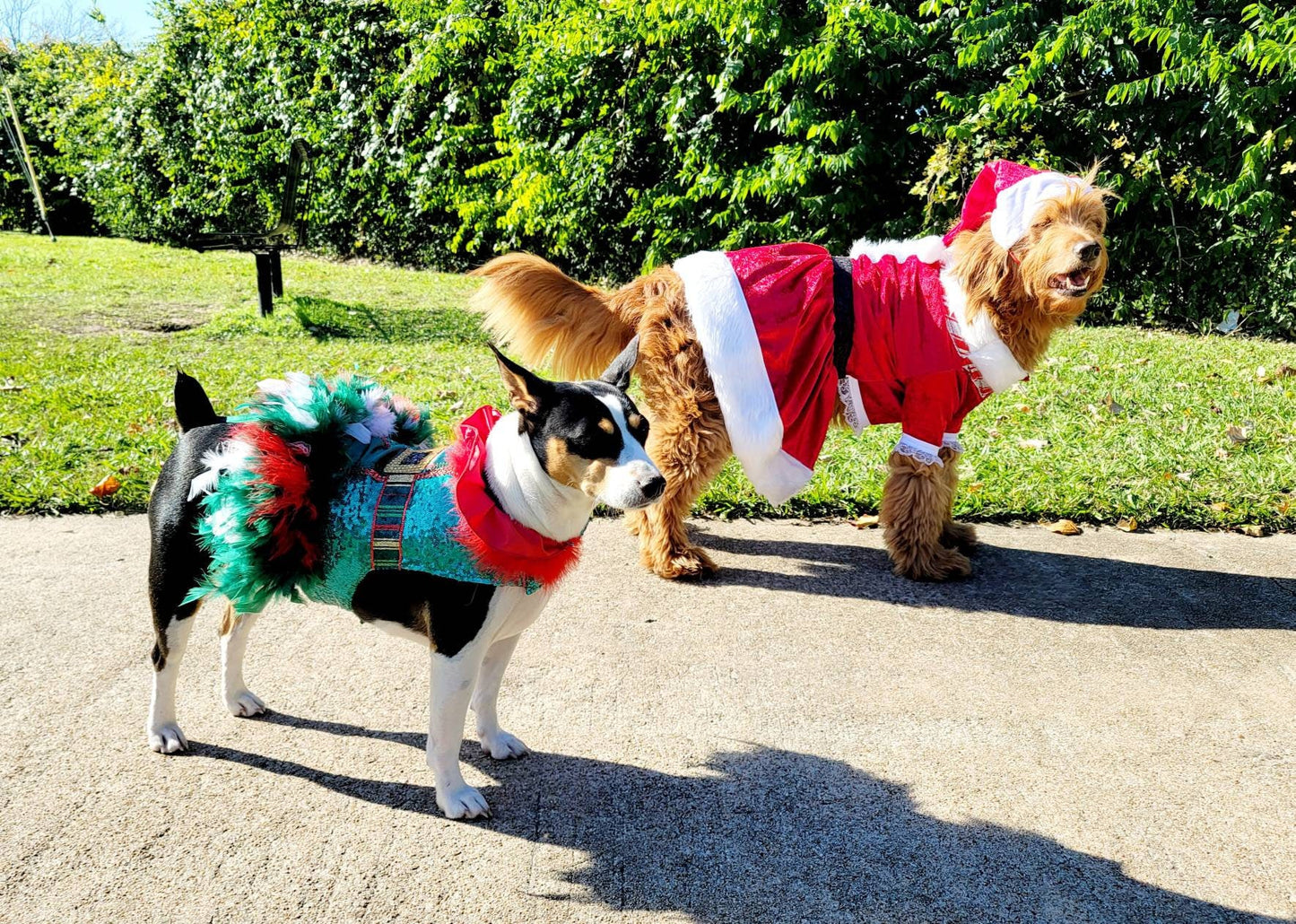 Miss Claus pet suit, miss Claus pet dress, female santa pet costume, miss Claus dog cat costume, holiday pet costumes, dog miss Claus dress