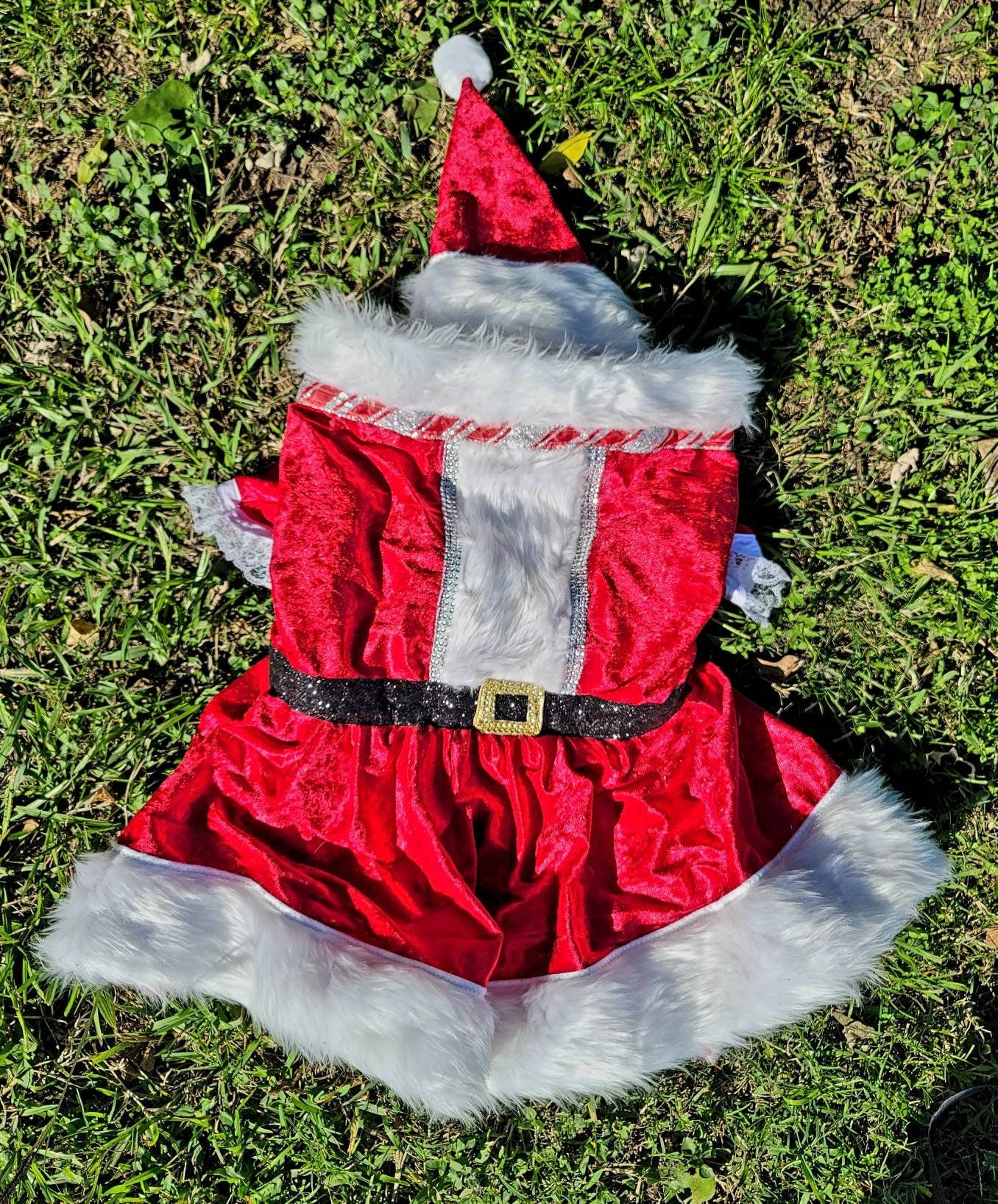 Miss Claus pet suit, miss Claus pet dress, female santa pet costume, miss Claus dog cat costume, holiday pet costumes, dog miss Claus dress