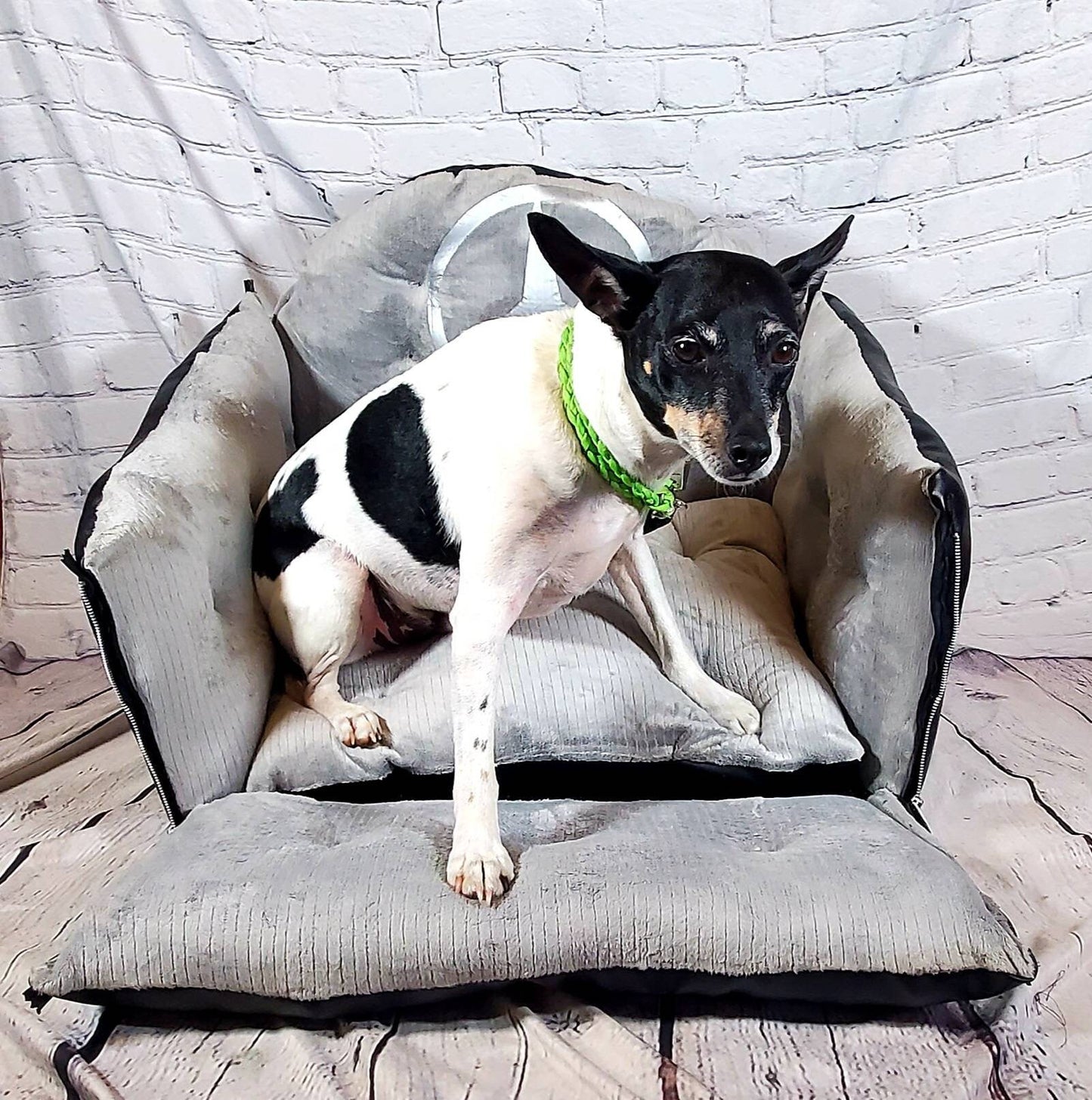 Pet booster seat, dog booster seat, car seat for pets, pet car safety seat, car set for dogs, booster dog seat, booster pet seat,car booster