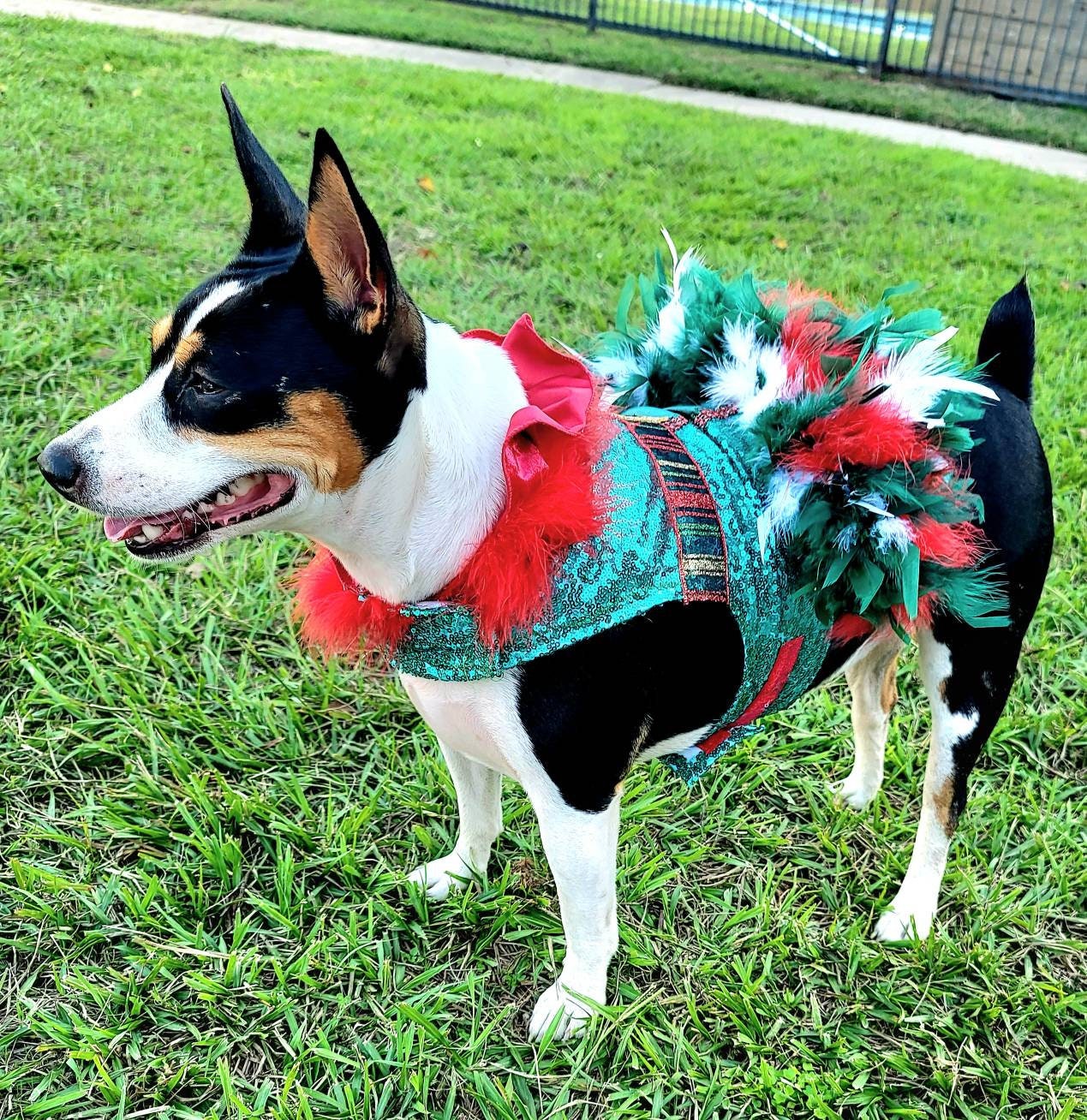 Pet sequin Elf Costume, Christmas Pet Elf costume, Dog Elf Costume, feather  Elf Pet dress, Holiday Elf Costume, Christmas Pet costumes