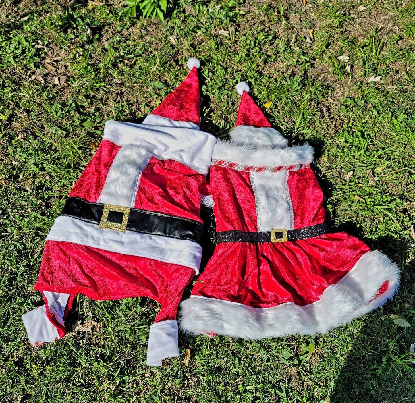 Miss Claus pet suit, miss Claus pet dress, female santa pet costume, miss Claus dog cat costume, holiday pet costumes, dog miss Claus dress