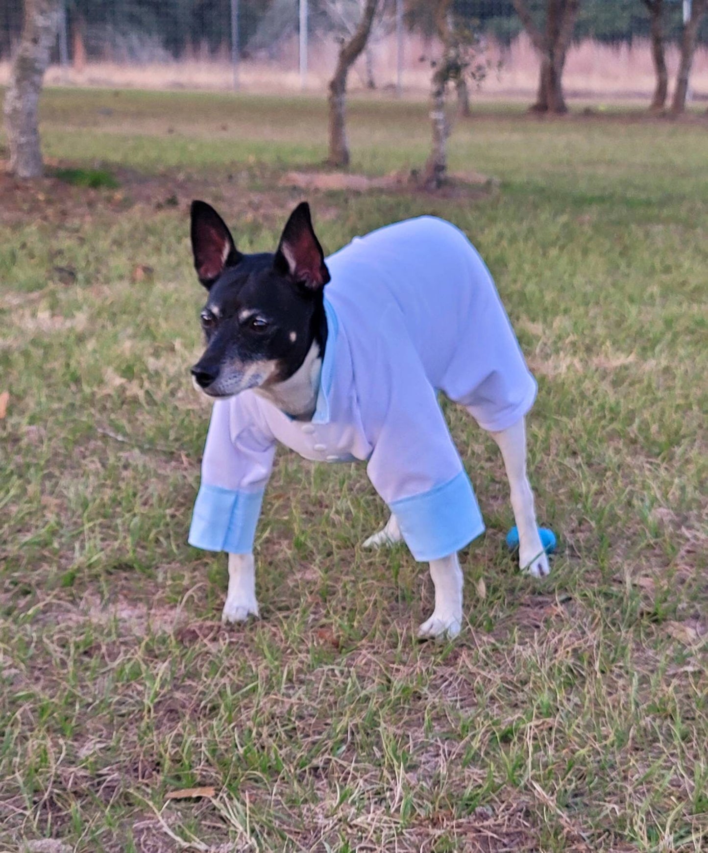 Tyler Pet Costume, Tyler Wednesday dog suit, Raven Pet Suit, Prom Pet Suit, prom dog suit, white Pet suit, wedding Pet suit, suit for pets