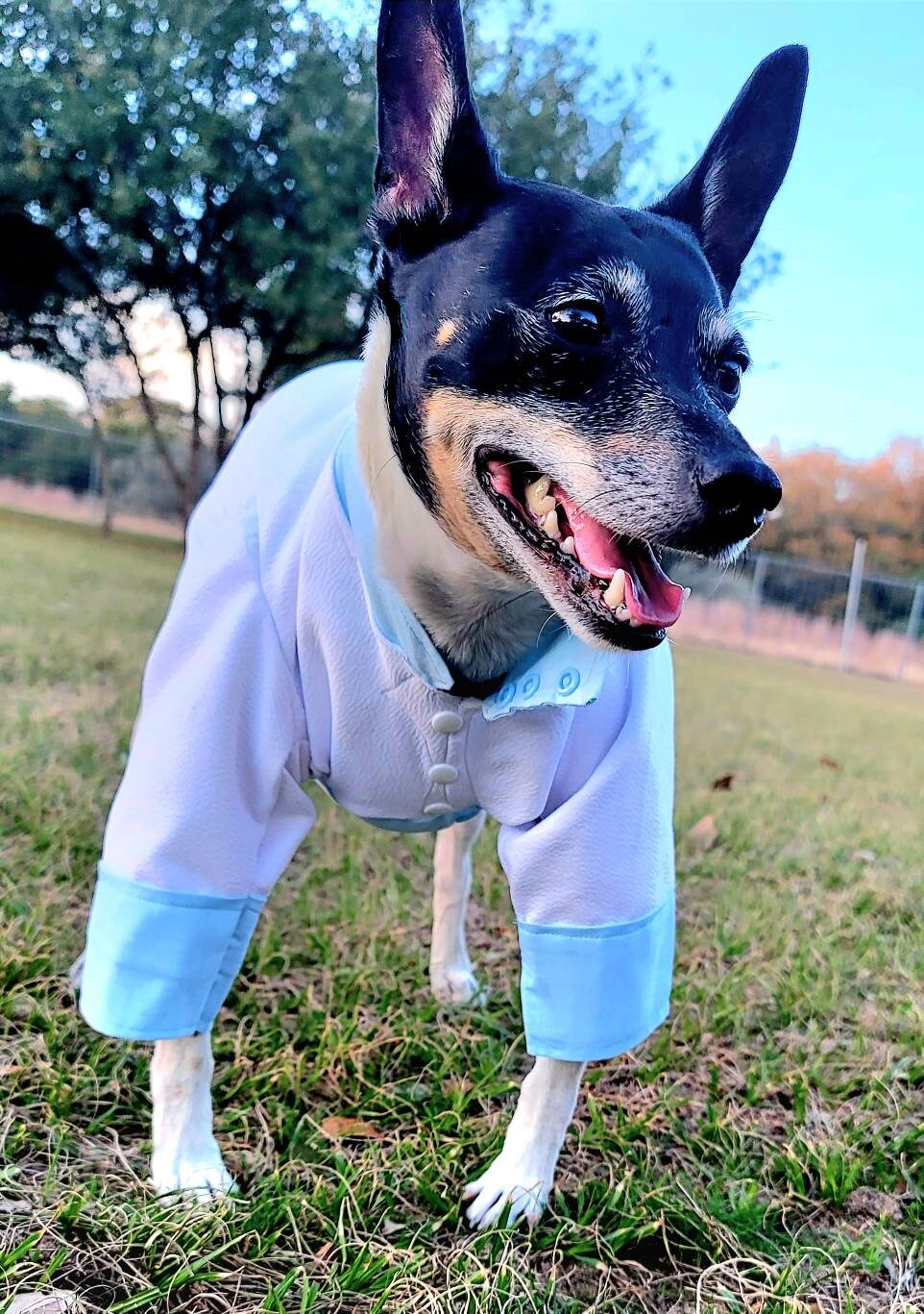 Tyler Pet Costume, Tyler Wednesday dog suit, Raven Pet Suit, Prom Pet Suit, prom dog suit, white Pet suit, wedding Pet suit, suit for pets