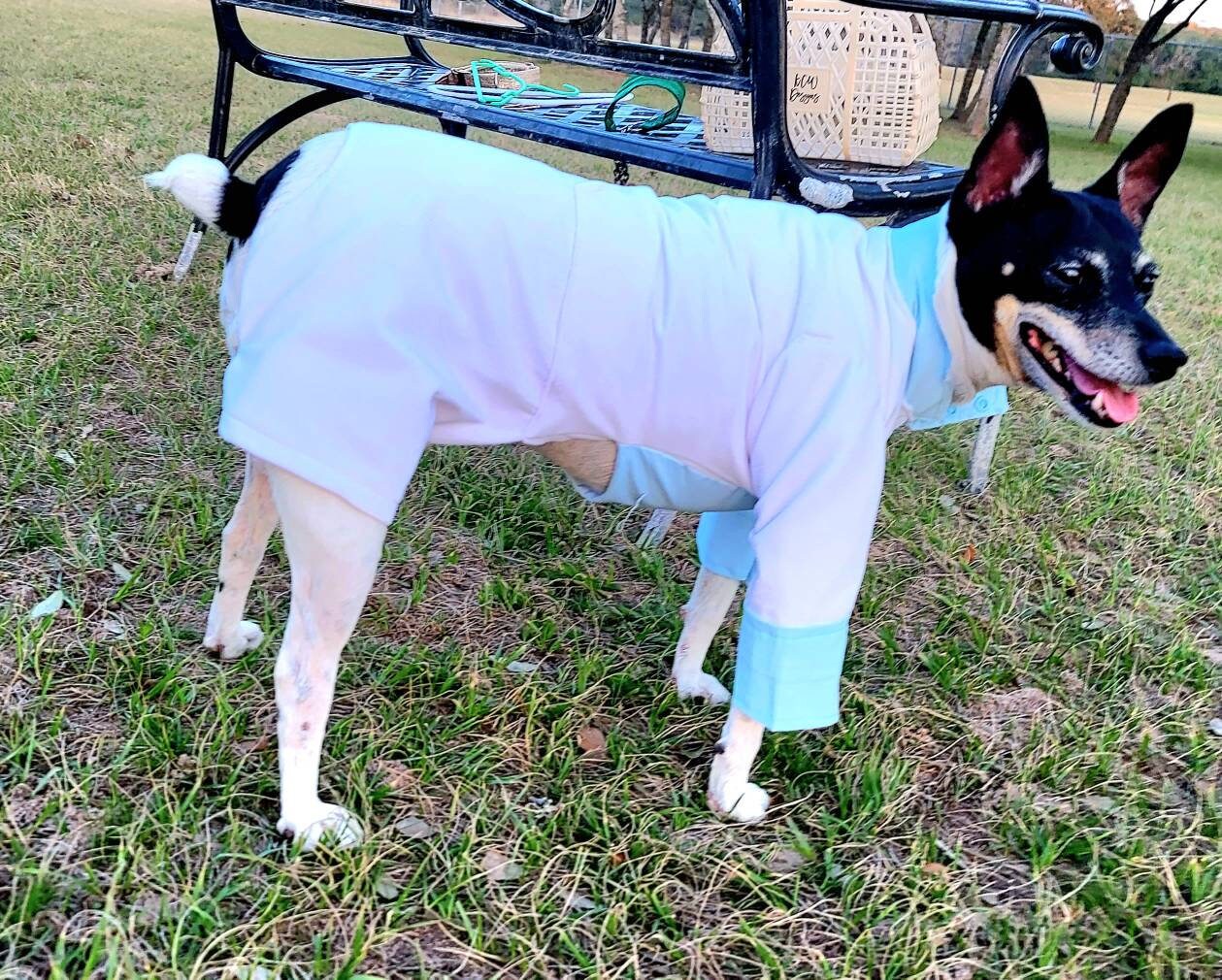 Tyler Pet Costume, Tyler Wednesday dog suit, Raven Pet Suit, Prom Pet Suit, prom dog suit, white Pet suit, wedding Pet suit, suit for pets