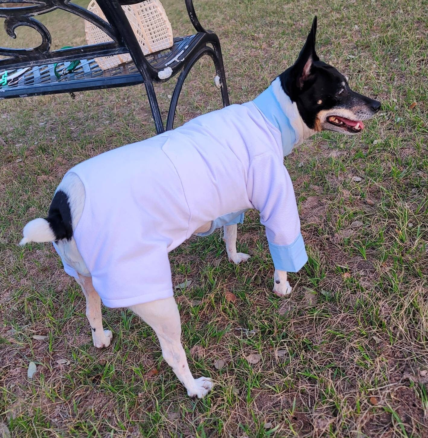 Tyler Pet Costume, Tyler Wednesday dog suit, Raven Pet Suit, Prom Pet Suit, prom dog suit, white Pet suit, wedding Pet suit, suit for pets