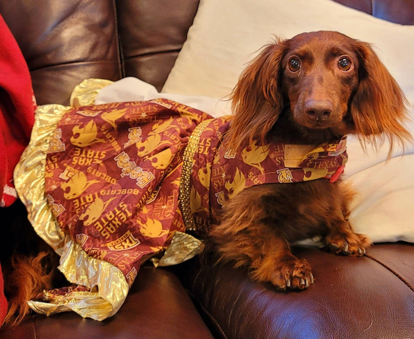 Texas State Pet Dress, Texas State University pet dress, SWT pet dress, TXSU pet dress, Texas State Dog Dress, Bobcat pet dress