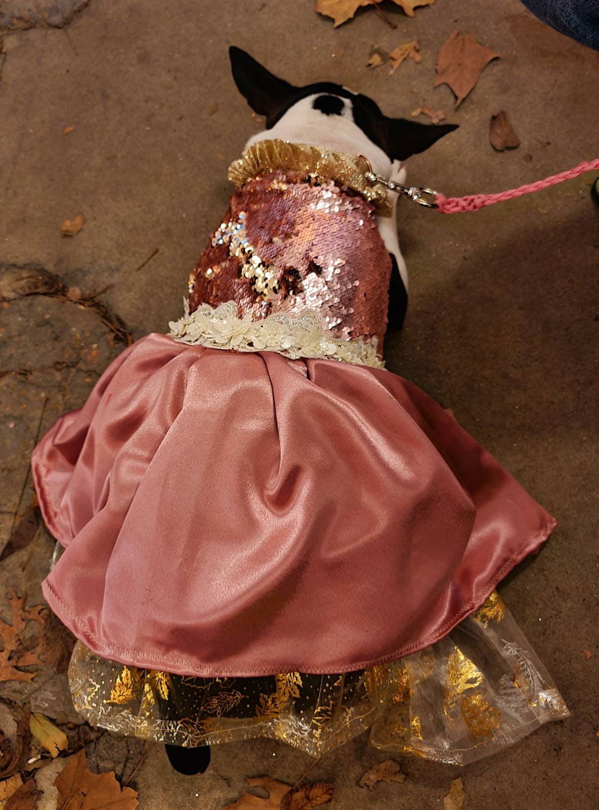 Valentine pet dress, Sequin pet dress, new years eve pet, sequin dog dress, wedding pet dress, doggy couture, pet couture, pink pet dress
