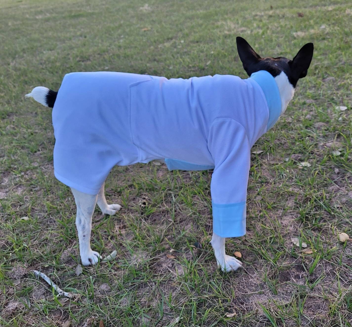 Tyler Pet Costume, Tyler Wednesday dog suit, Raven Pet Suit, Prom Pet Suit, prom dog suit, white Pet suit, wedding Pet suit, suit for pets