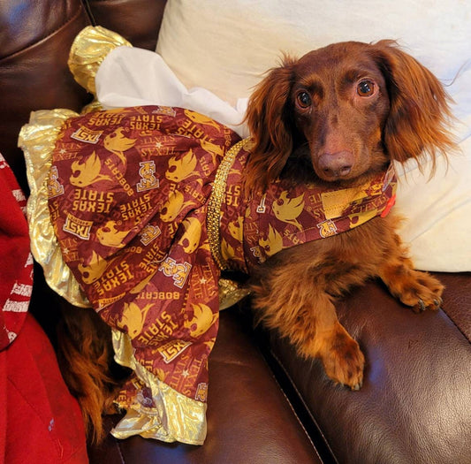 Texas State Pet Dress, Texas State University pet dress, SWT pet dress, TXSU pet dress, Texas State Dog Dress, Bobcat pet dress