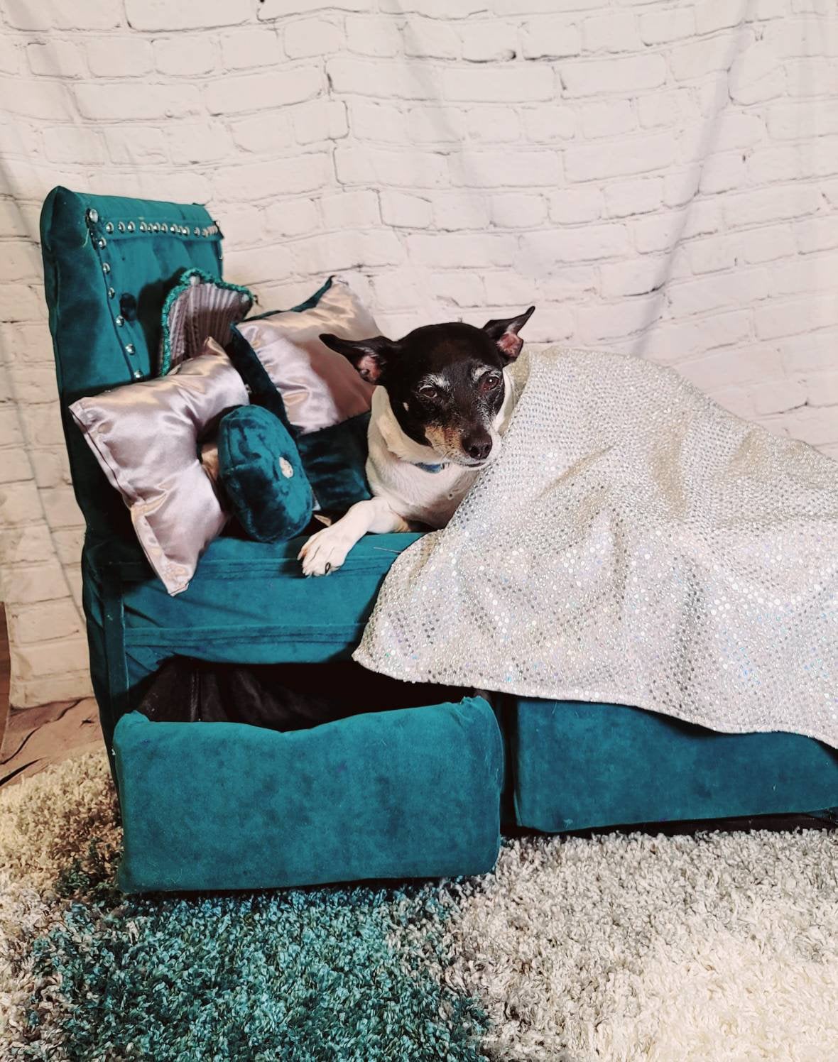 Upholstery pet bed, teal pet bed, storage pet bed, Upholstery dog bed, luxury dog bed, luxury pet bed, Upholstery pet furniture, pet beds