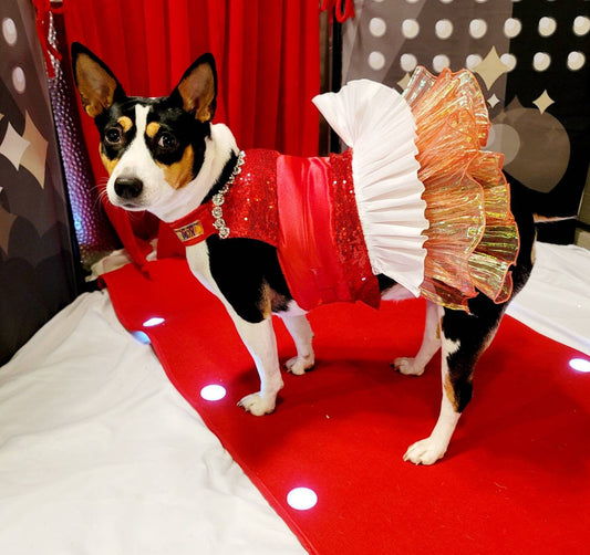 Valentine Pet Dress, Valentine dog dress, Red Sequin pet dress, Pet Valentine's dress, Dog Valentine's dress, pet dresses, cat dress