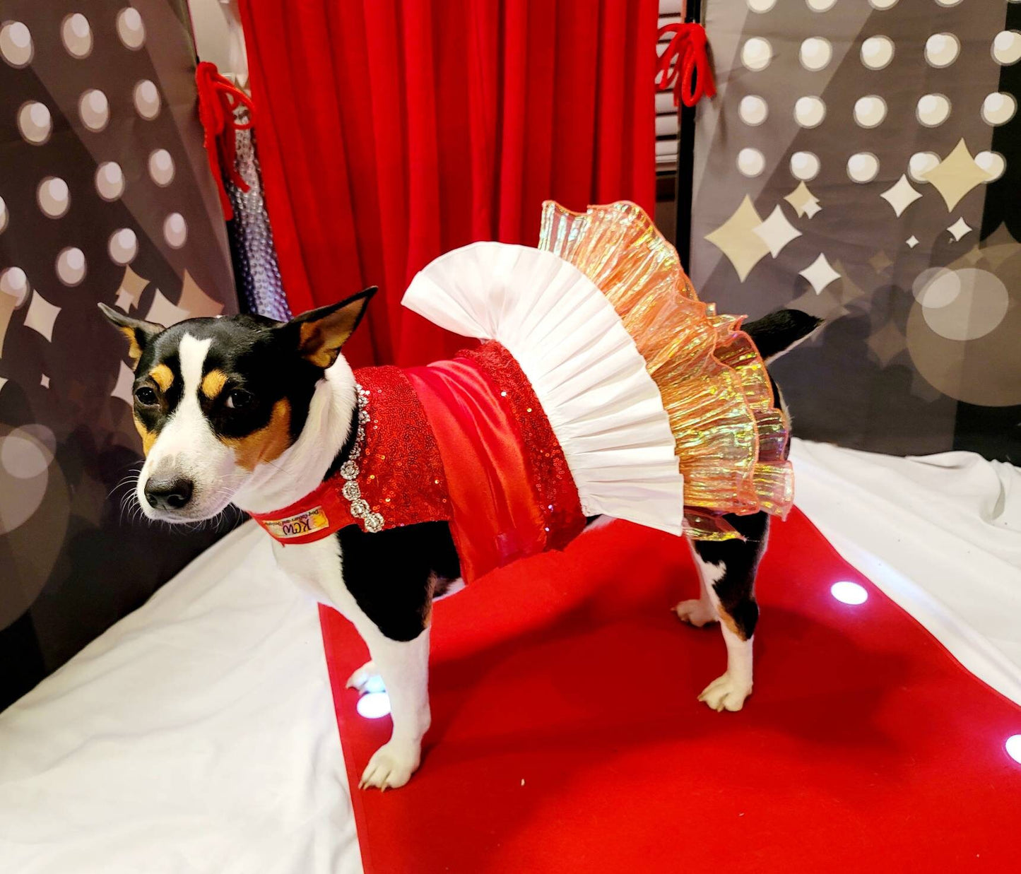 Valentine Pet Dress, Valentine dog dress, Red Sequin pet dress, Pet Valentine's dress, Dog Valentine's dress, pet dresses, cat dress