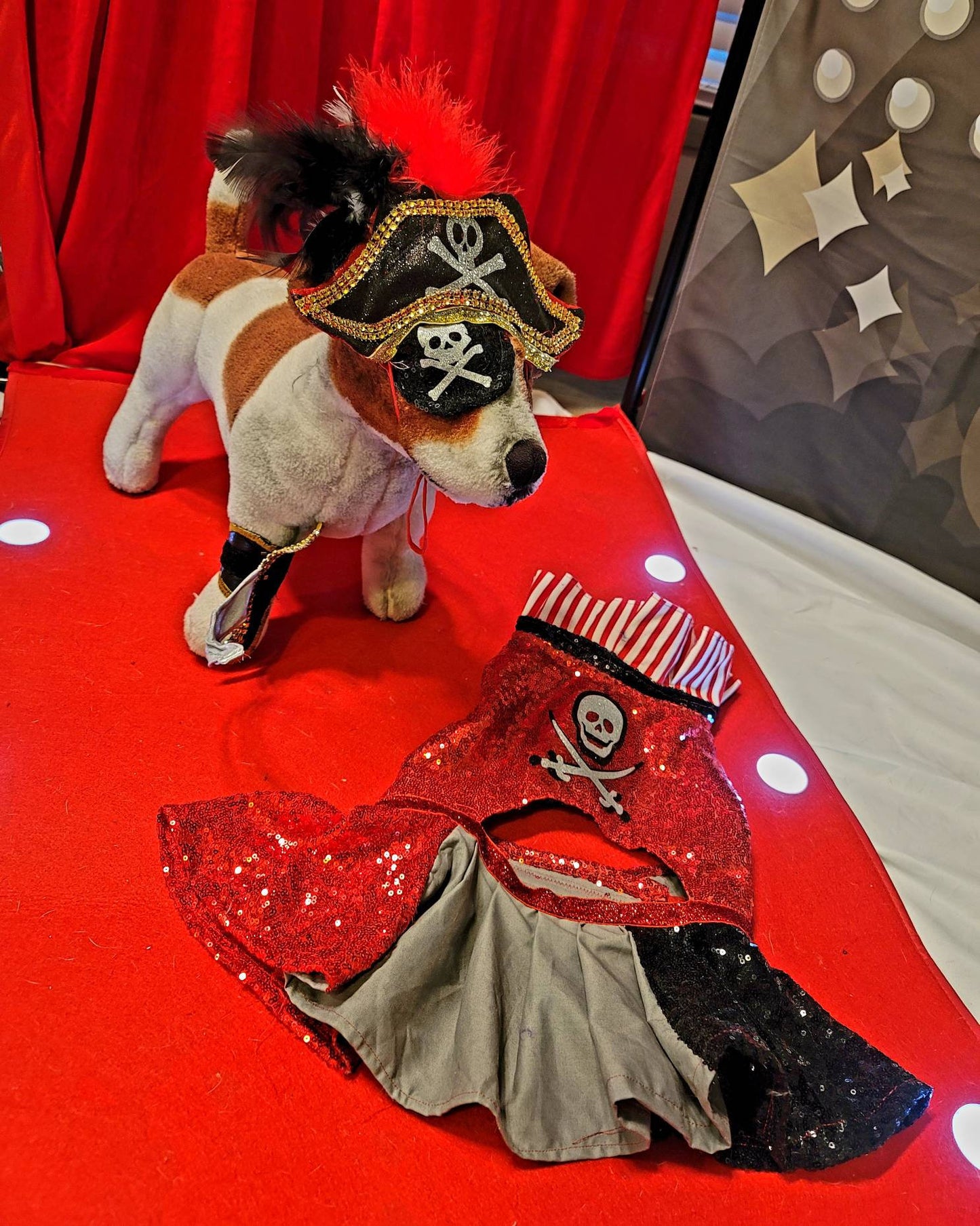 Pet Pirate female Costume, Dog Pirate Costume, Pirate pet costume, Pirate cat costume, female Pirate pet, Pirate pet dress, pet costume
