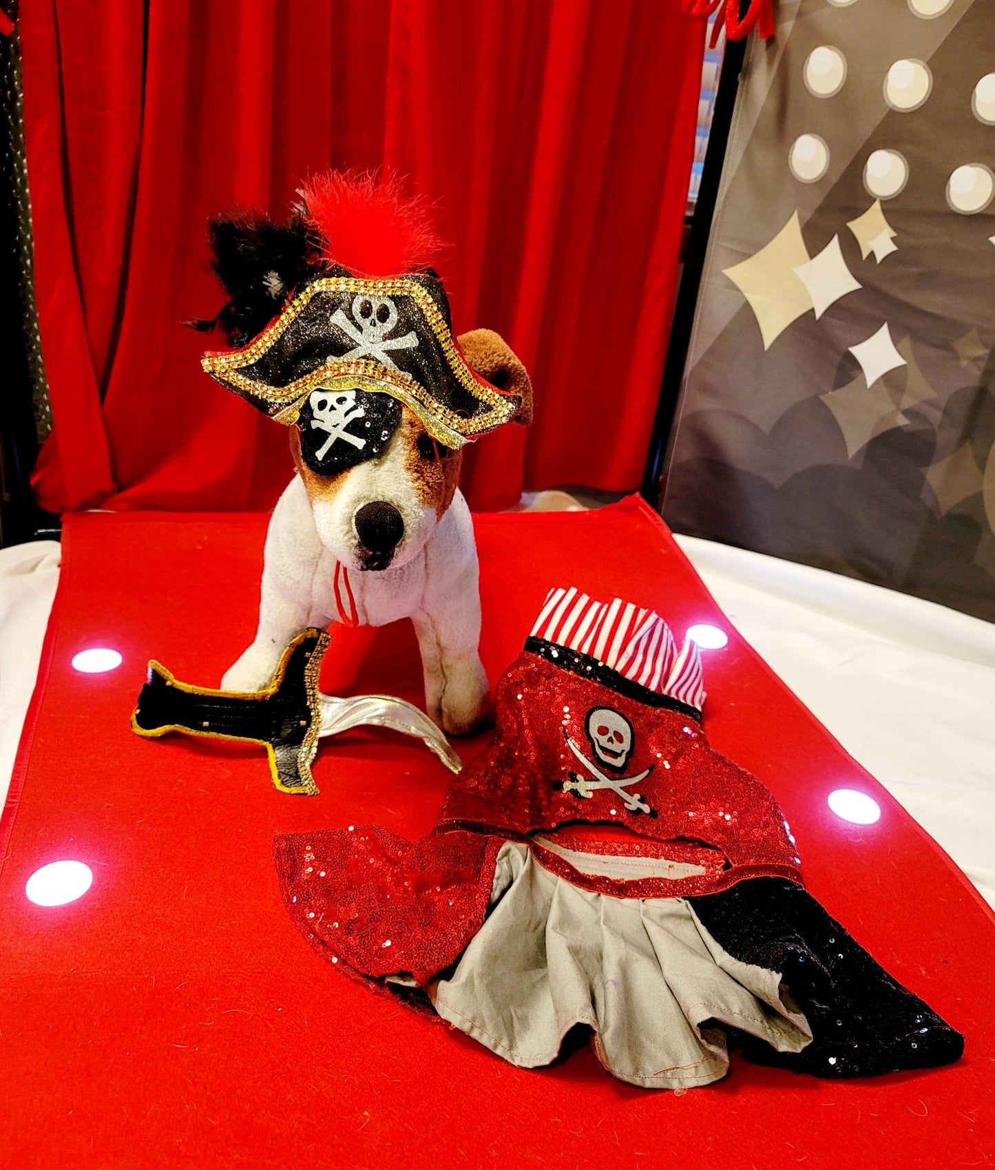 Pet Pirate female Costume, Dog Pirate Costume, Pirate pet costume, Pirate cat costume, female Pirate pet, Pirate pet dress, pet costume