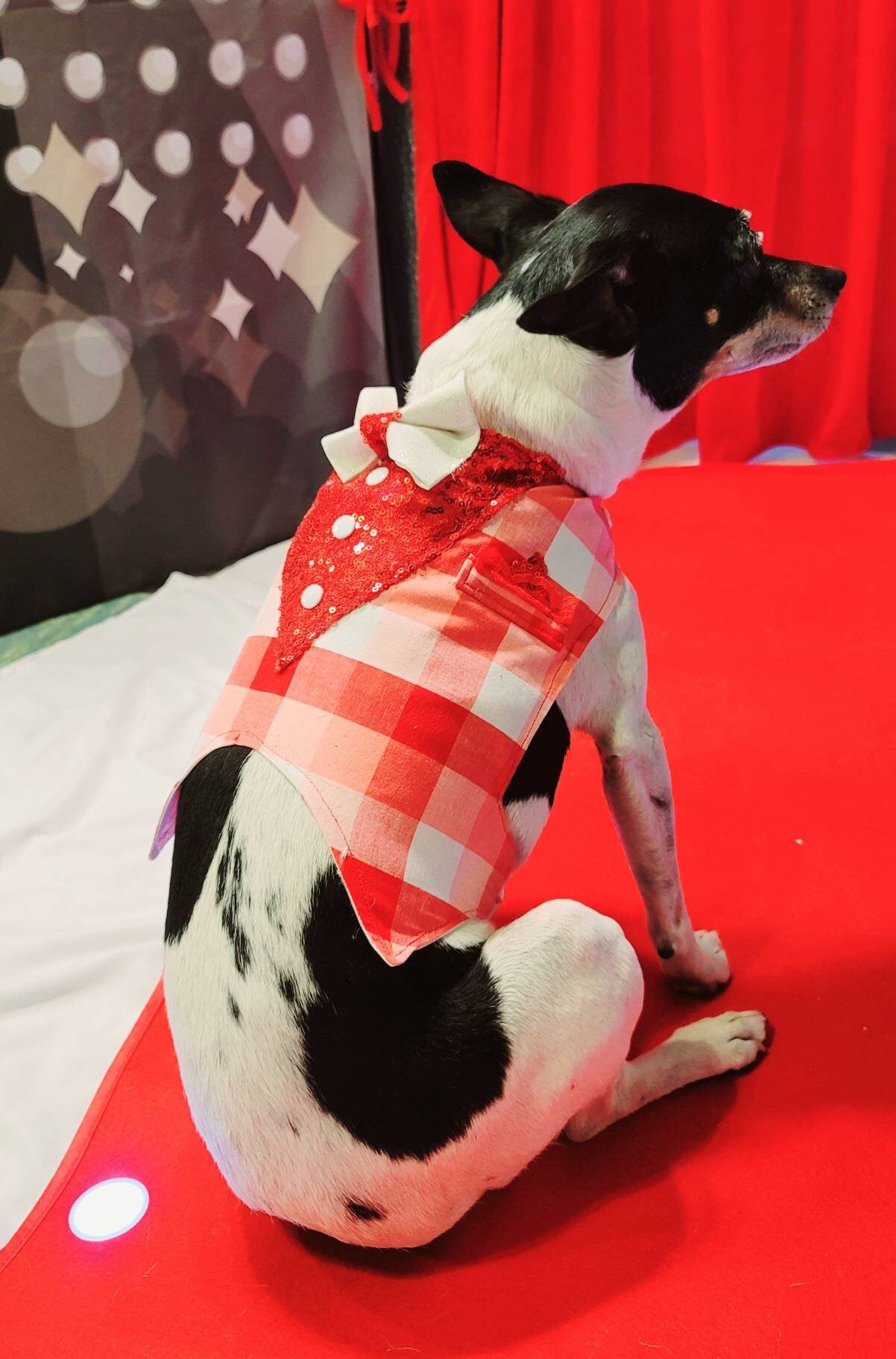Valentine pet vest, Valentine dog vest, Valentine cat vest, pet vest, vest for pets, Valentine pet tuxedo, dog tuxedo, cat tuxedo