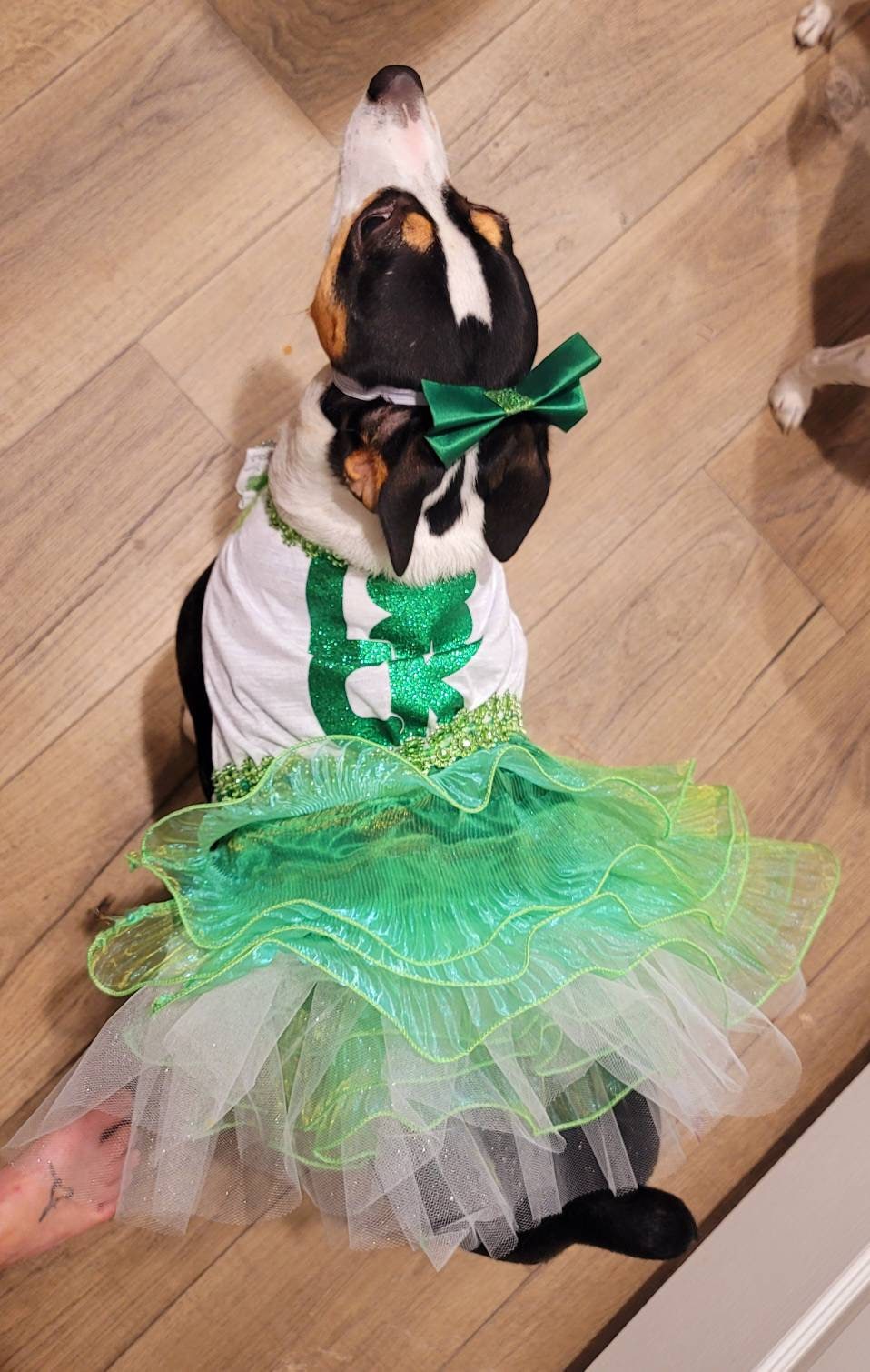 St Patrick's day Pet Dress, Patty's day pet dress, Irish pet dress, St Patrick day dog dress, lucky pet dress, Patty's day dog dress