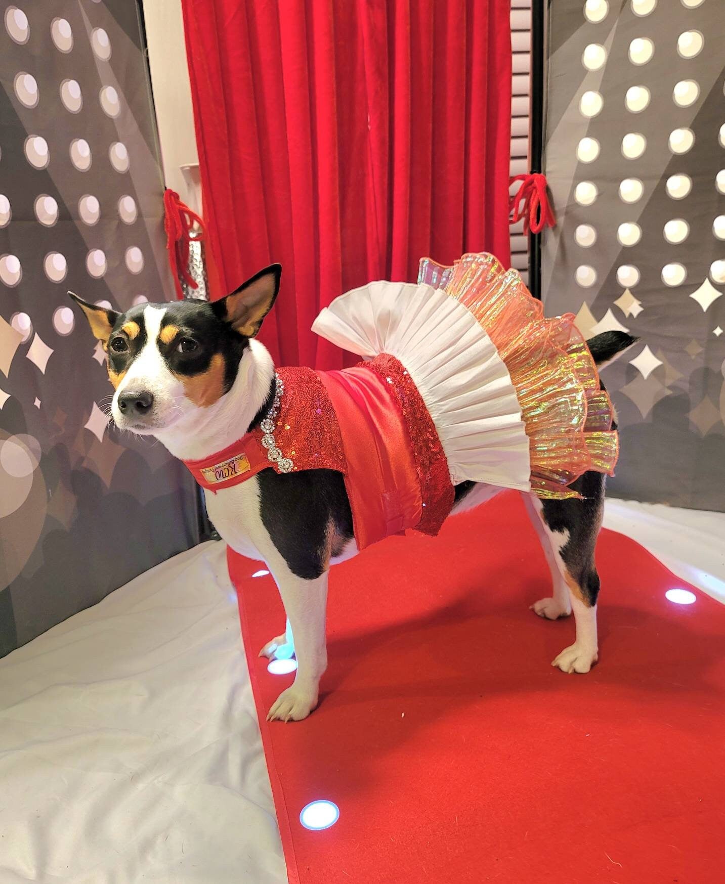 Valentine Pet Dress, Valentine dog dress, Red Sequin pet dress, Pet Valentine's dress, Dog Valentine's dress, pet dresses, cat dress