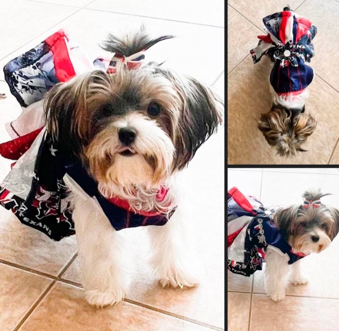 Houston Texan pet dress, glitter houston texan pet dress, houston texans dog dress, houston texans cat dress