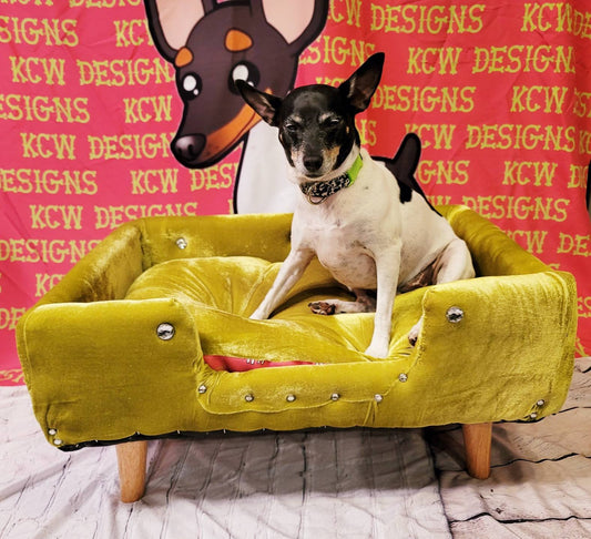 Velvet luxury pet bed, luxury dog bed, stretch Velvet pet bed, pet furniture, Upholstered pet bed, Courture pet beds, Courture dog beds