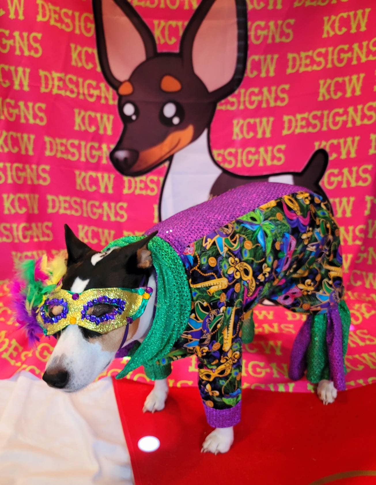Mardi Gras male pet outfit, Mardi Gras Pet body suit, Fat Tuesday dog costume, Mardi Gras dog costume, Mardi Gras Cat, Mardi Gras suit