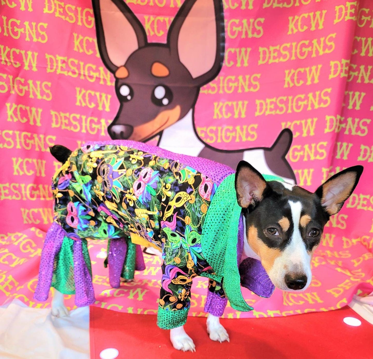 Mardi Gras male pet outfit, Mardi Gras Pet body suit, Fat Tuesday dog costume, Mardi Gras dog costume, Mardi Gras Cat, Mardi Gras suit
