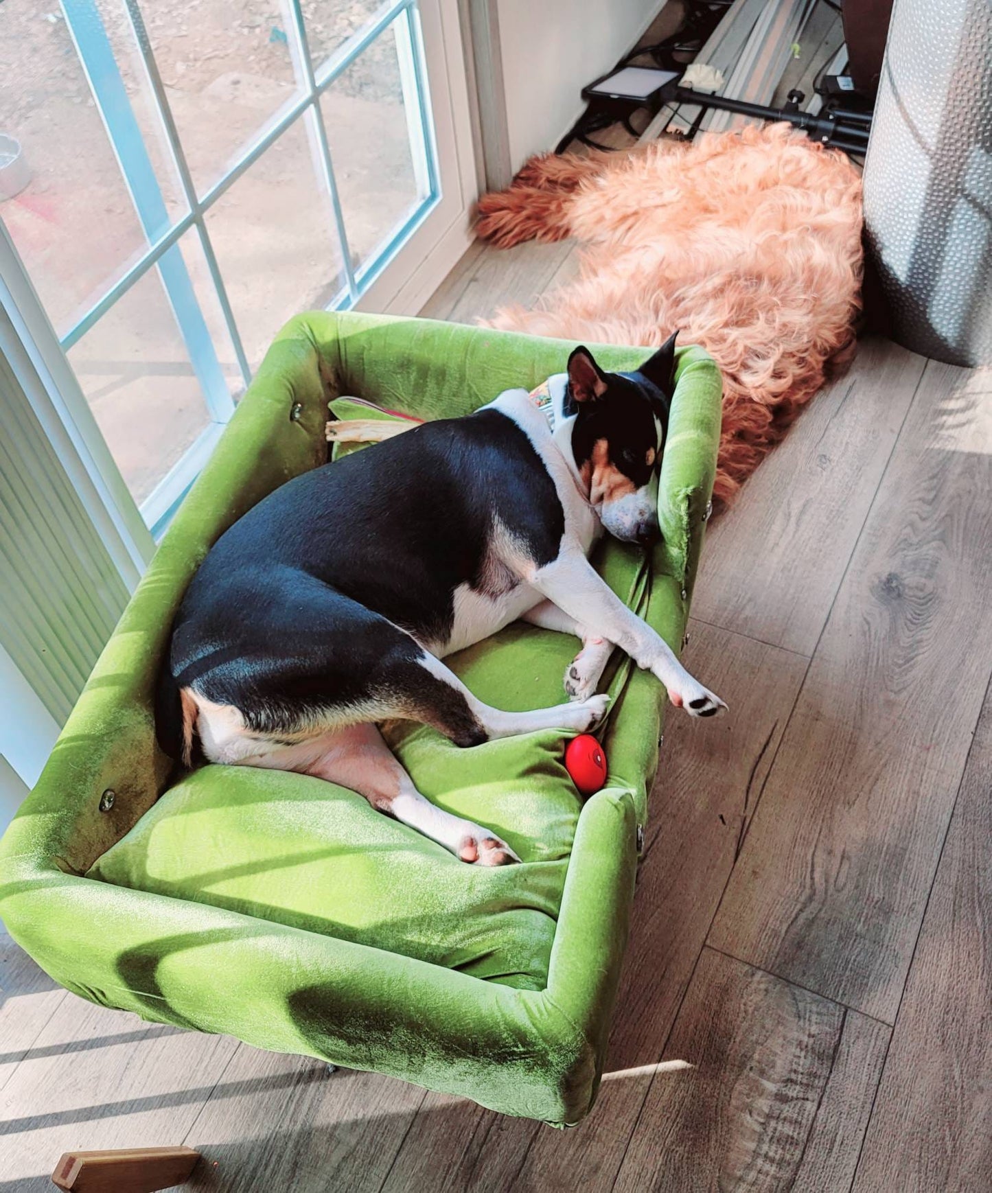 Velvet luxury pet bed, luxury dog bed, stretch Velvet pet bed, pet furniture, Upholstered pet bed, Courture pet beds, Courture dog beds