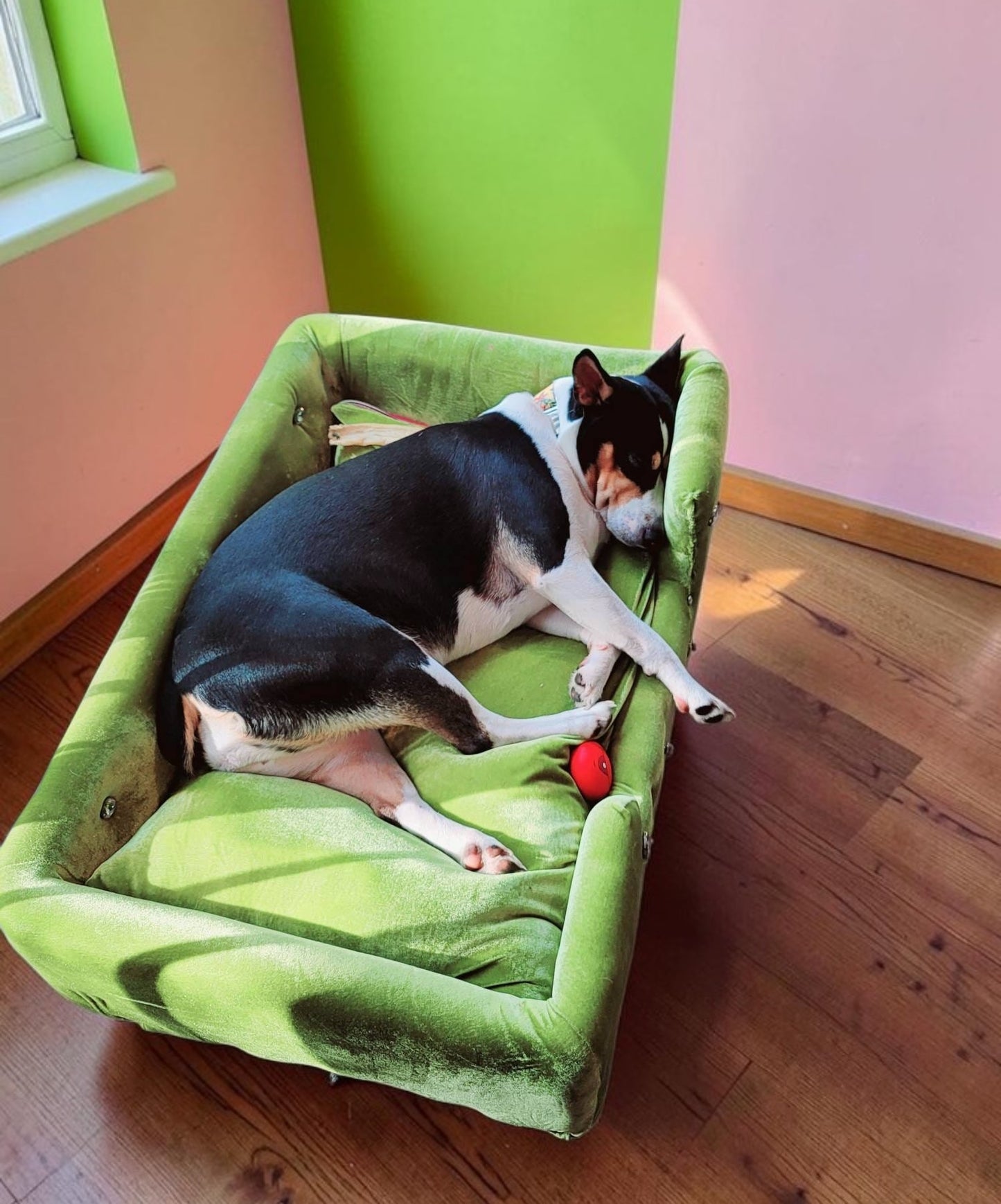 Velvet Contemporary Pet Bed, luxury pet bed with legs, upholstered pet bed