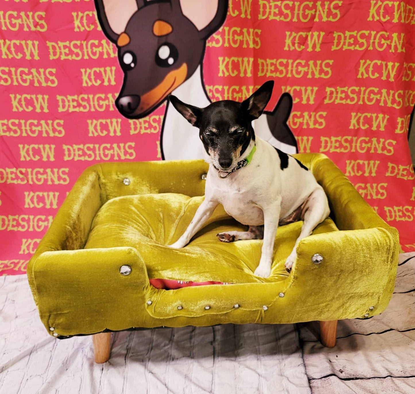 Velvet luxury pet bed, luxury dog bed, stretch Velvet pet bed, pet furniture, Upholstered pet bed, Courture pet beds, Courture dog beds