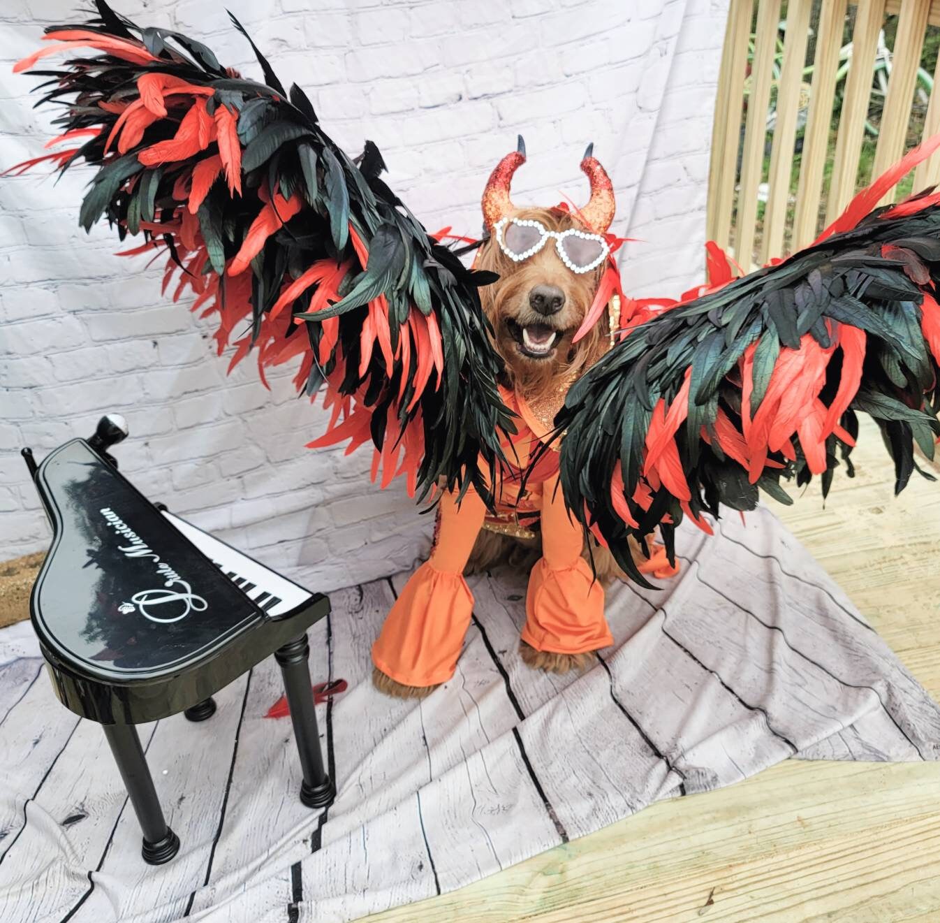 - Elton John Rocketman Orange Devil Pet Costume, Elton John Rocketman bejeweled "Devil" pet dog cat costume, Orange Devil pet costume