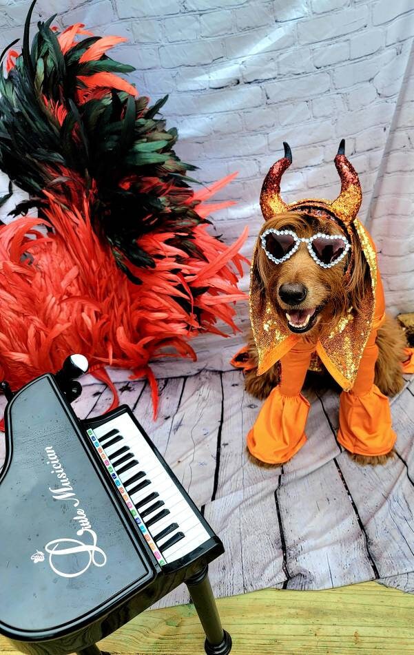 - Elton John Rocketman Orange Devil Pet Costume, Elton John Rocketman bejeweled "Devil" pet dog cat costume, Orange Devil pet costume