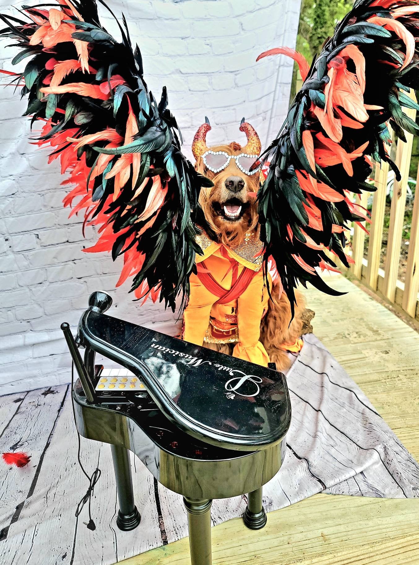 - Elton John Rocketman Orange Devil Pet Costume, Elton John Rocketman bejeweled "Devil" pet dog cat costume, Orange Devil pet costume
