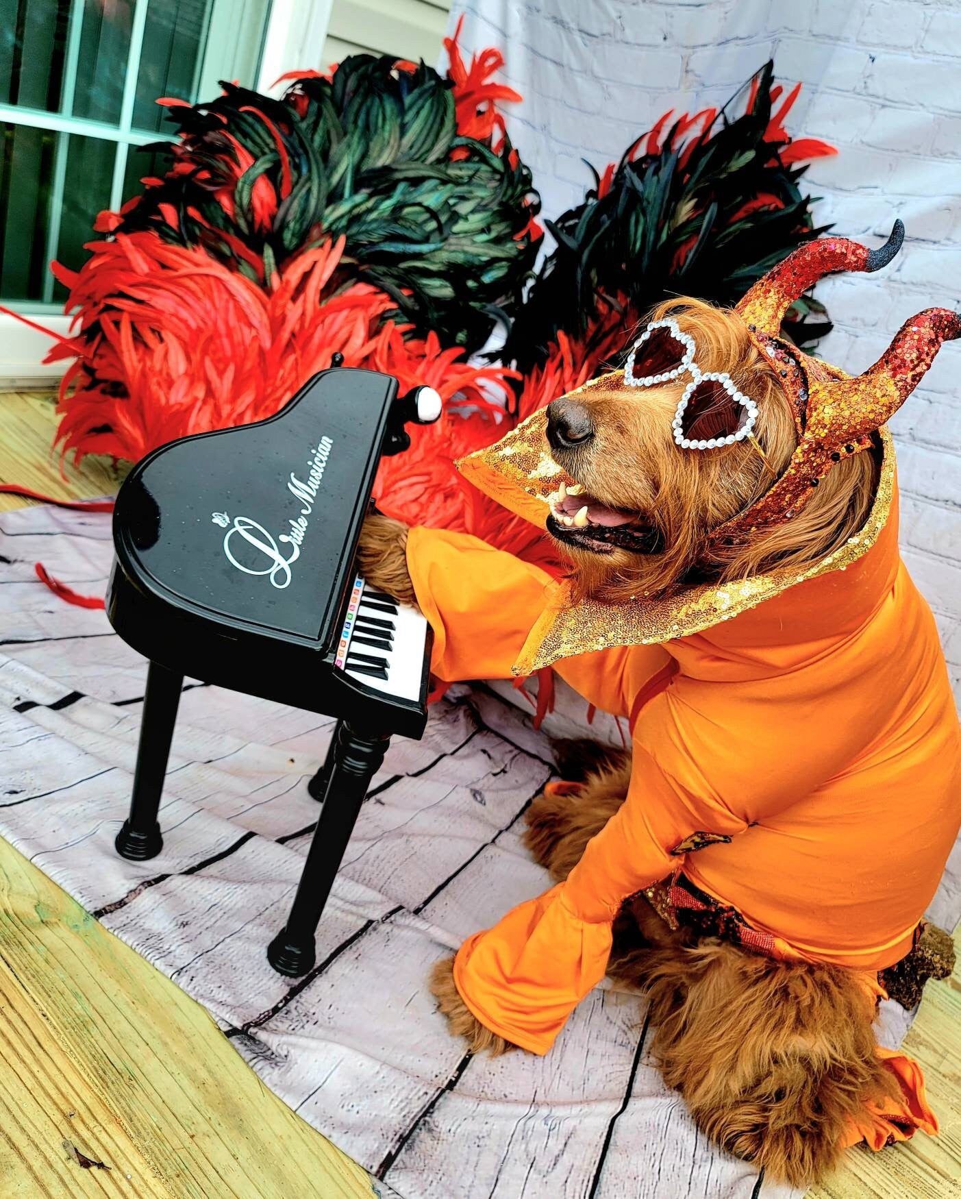 - Elton John Rocketman Orange Devil Pet Costume, Elton John Rocketman bejeweled "Devil" pet dog cat costume, Orange Devil pet costume