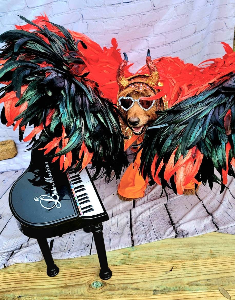 - Elton John Rocketman Orange Devil Pet Costume, Elton John Rocketman bejeweled "Devil" pet dog cat costume, Orange Devil pet costume