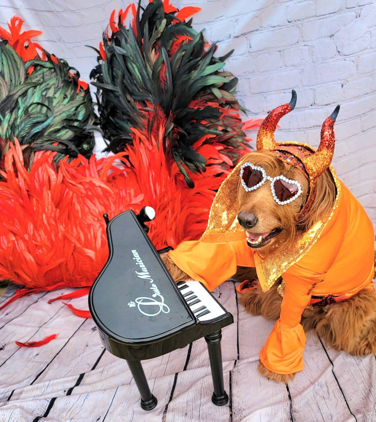 - Elton John Rocketman Orange Devil Pet Costume, Elton John Rocketman bejeweled "Devil" pet dog cat costume, Orange Devil pet costume