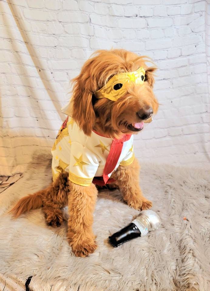 Pet Sunglasses, pet aviators, dog Sunglasses, dog aviators, cat Sunglasses, Sunglasses for pets