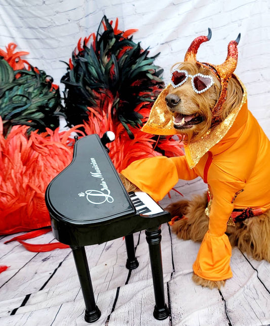 - Elton John Rocketman Orange Devil Pet Costume, Elton John Rocketman bejeweled "Devil" pet dog cat costume, Orange Devil pet costume