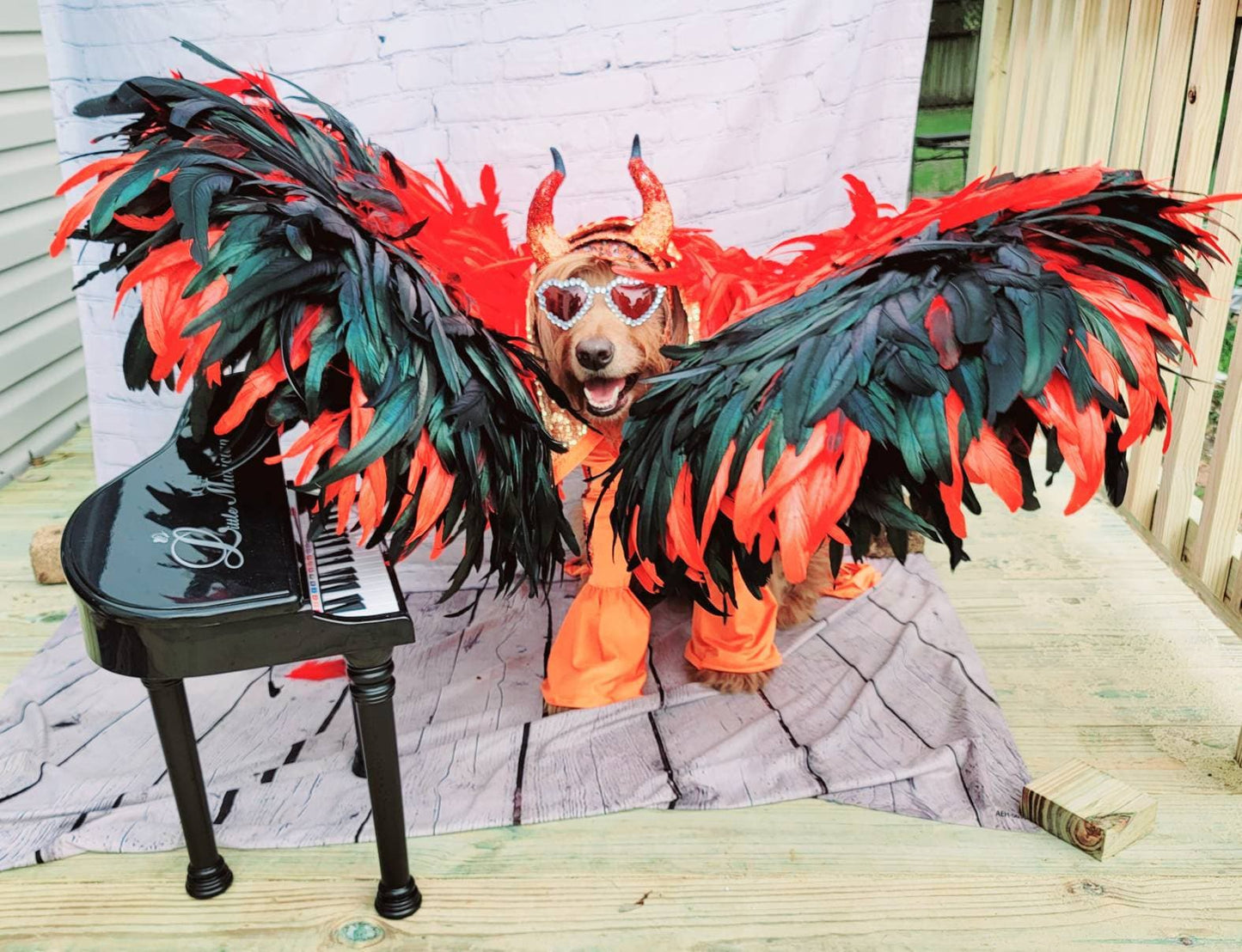 - Elton John Rocketman Orange Devil Pet Costume, Elton John Rocketman bejeweled "Devil" pet dog cat costume, Orange Devil pet costume