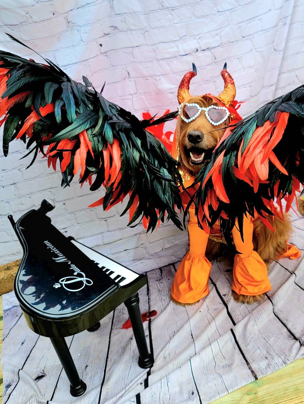 - Elton John Rocketman Orange Devil Pet Costume, Elton John Rocketman bejeweled "Devil" pet dog cat costume, Orange Devil pet costume
