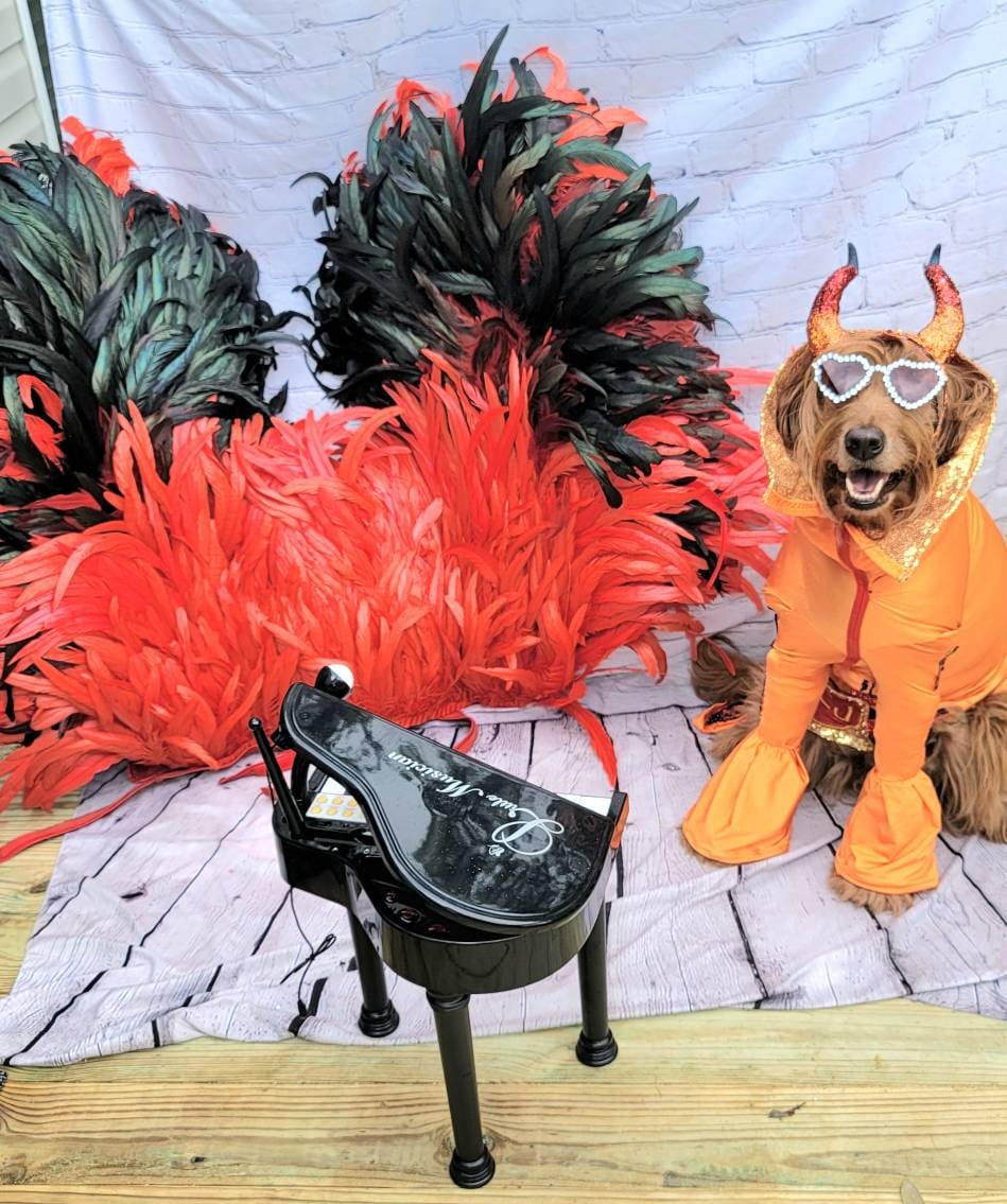- Elton John Rocketman Orange Devil Pet Costume, Elton John Rocketman bejeweled "Devil" pet dog cat costume, Orange Devil pet costume