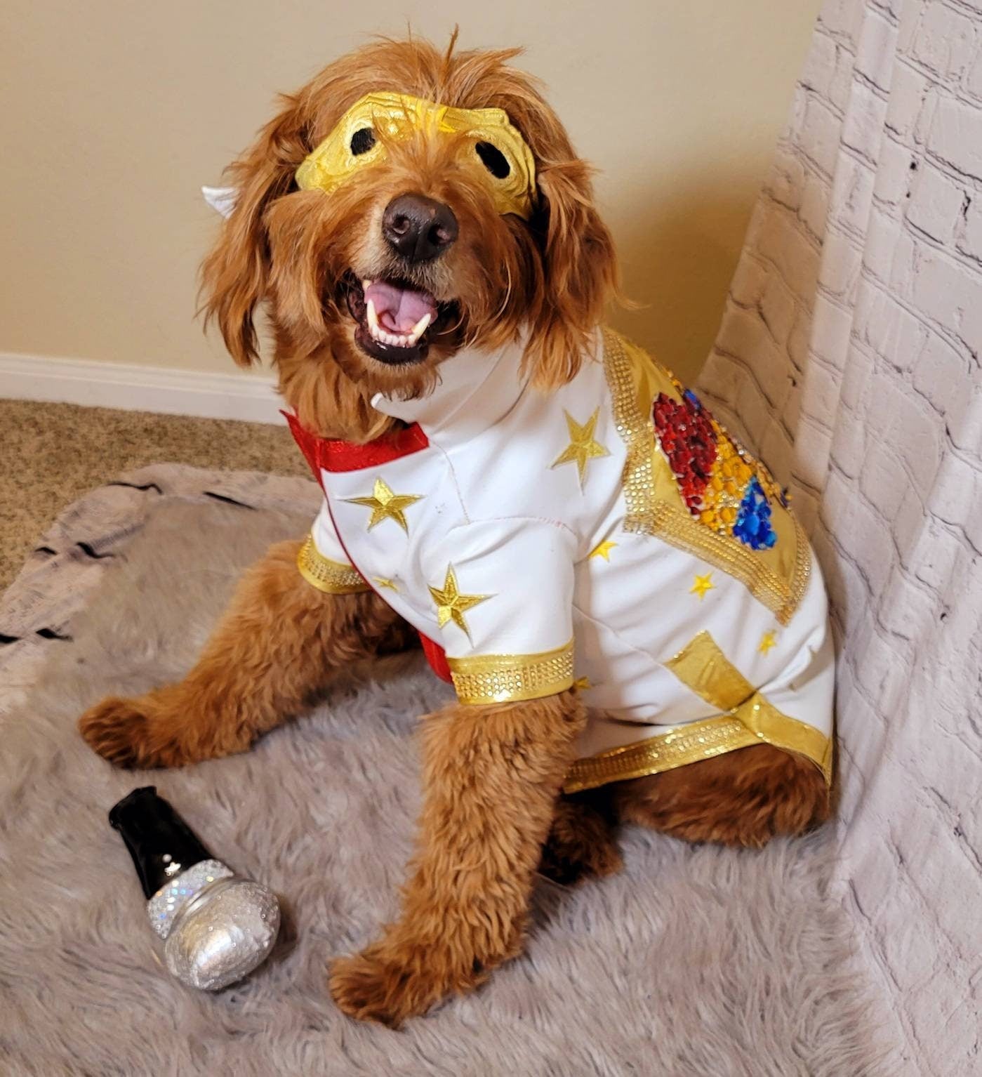 Pet Sunglasses, pet aviators, dog Sunglasses, dog aviators, cat Sunglasses, Sunglasses for pets