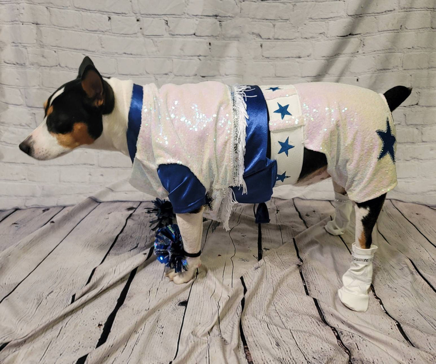 - Pet glitter Cheerleader, Cowboy dog cheerleader, cowboy cat cheerleader