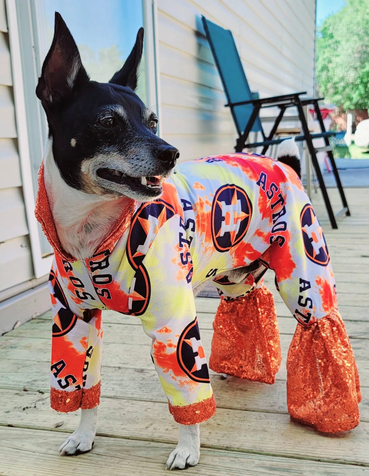 Houston Astros pet suit, Astros sequin dog suit, Astros cat suit