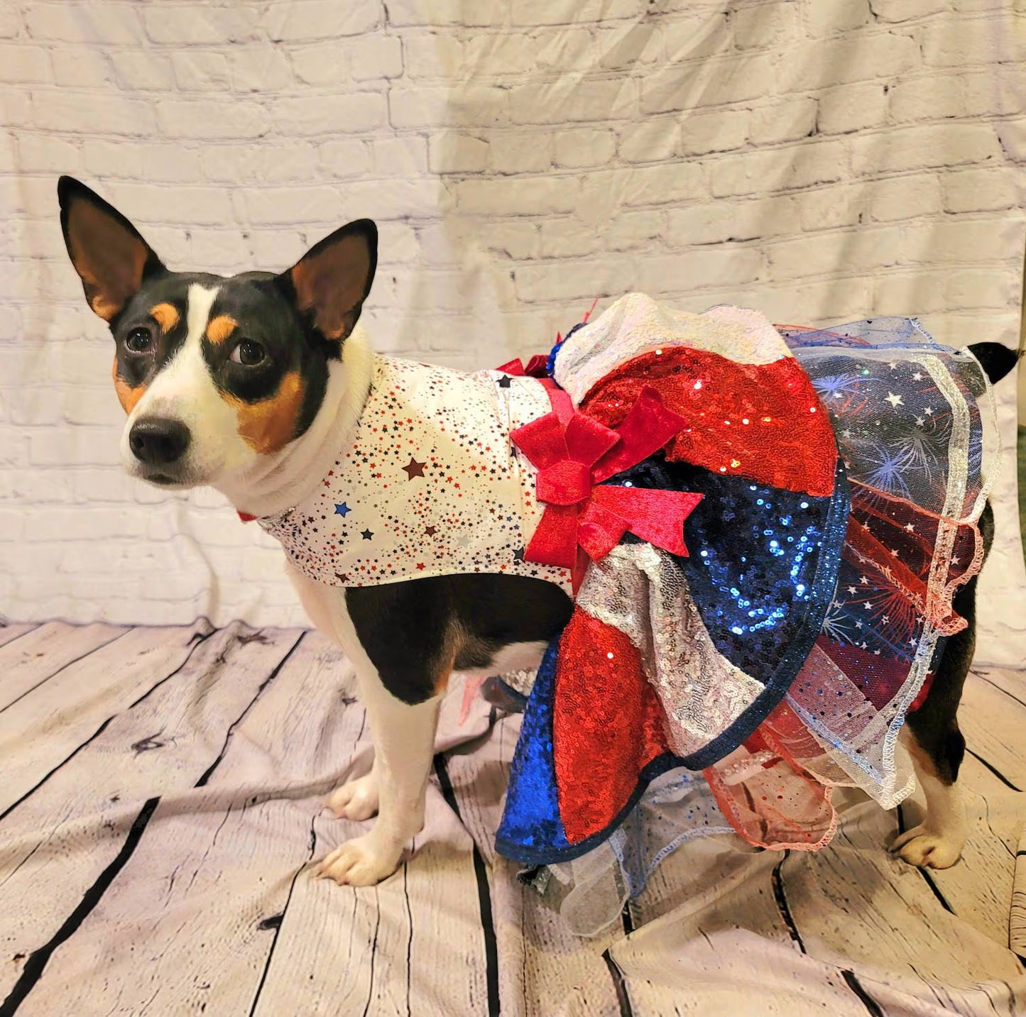 July 4th sequin pet costume, 4th of July pet dress, sequin patriotic pet dress, 4th of july dog dress, 4th of july dog costume, July 4th pet dress