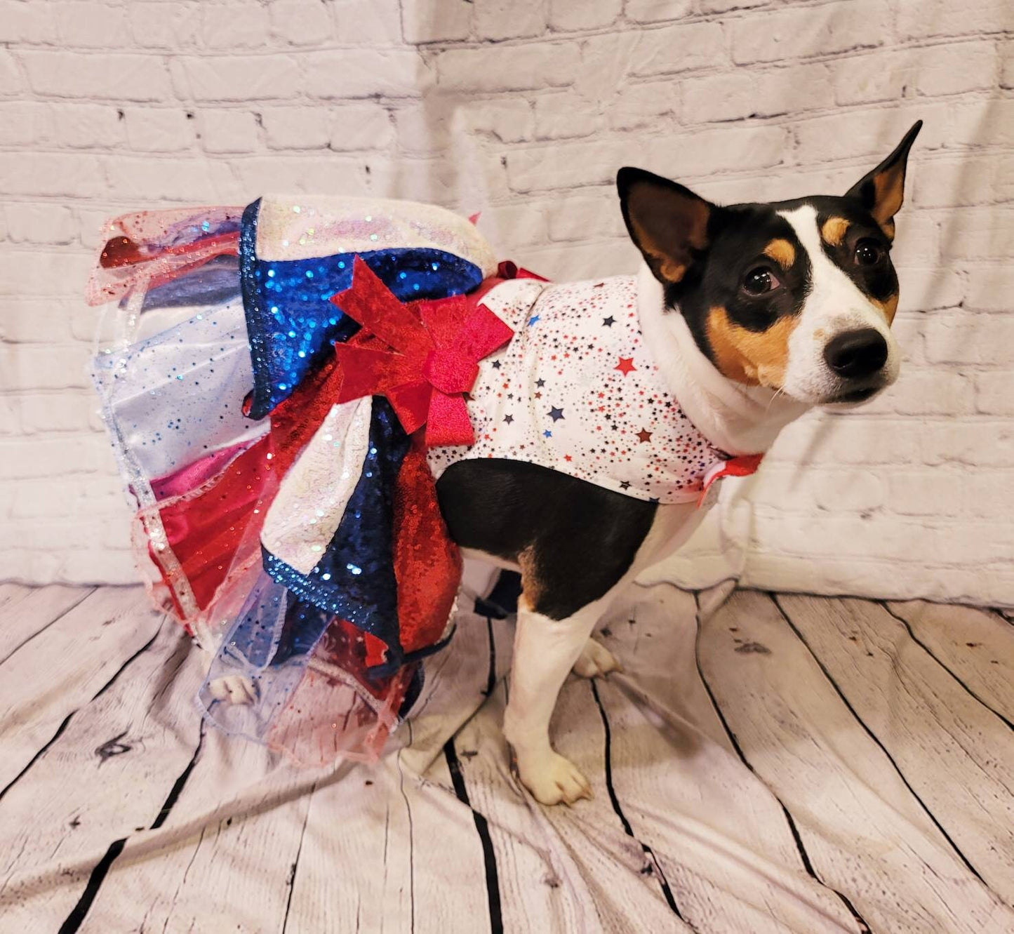 July 4th sequin pet costume, 4th of July pet dress, sequin patriotic pet dress, 4th of july dog dress, 4th of july dog costume, July 4th pet dress