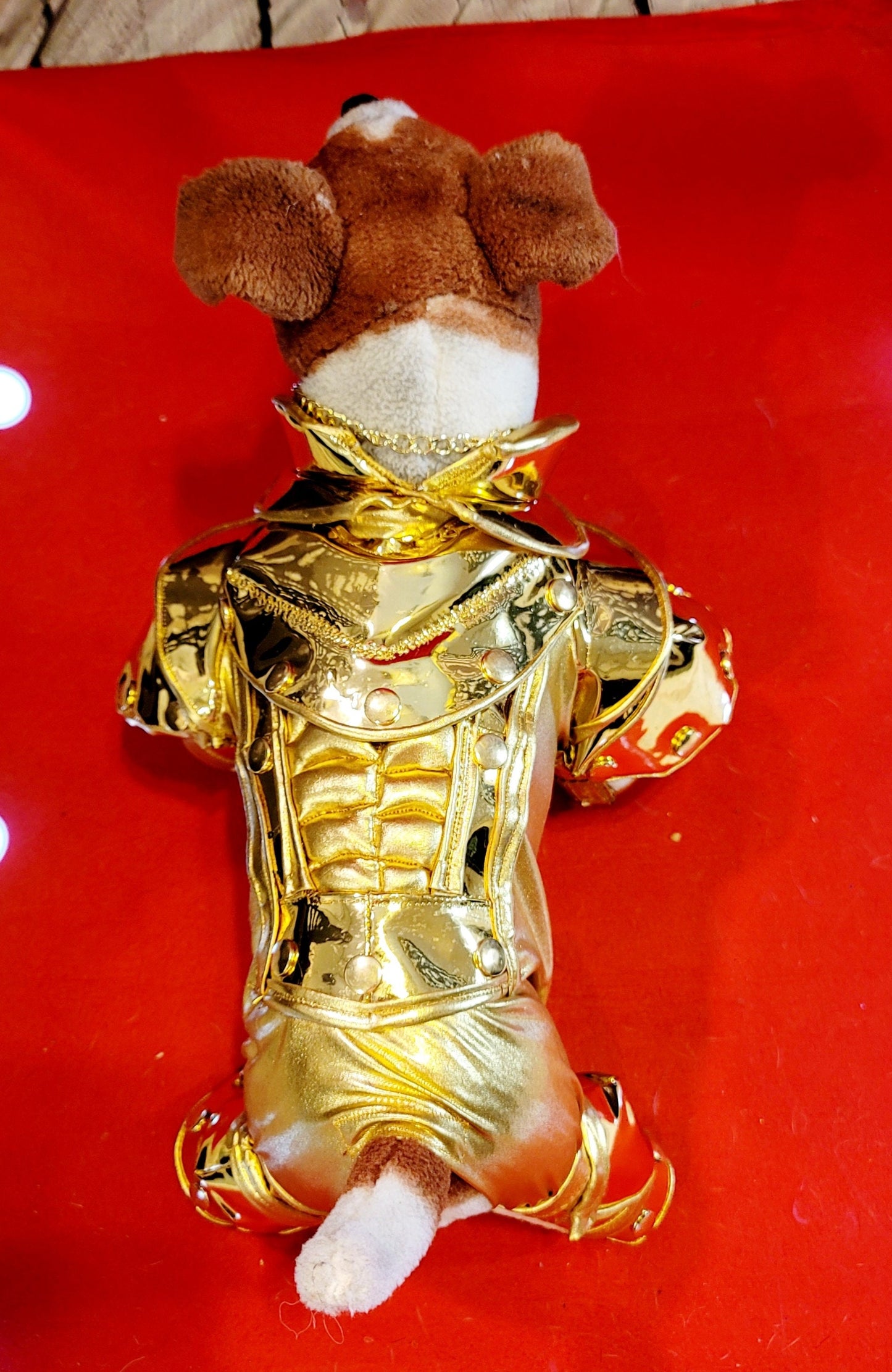 - Gold armour pet costume, Gold armour dog costume, Lil Nas X gold pet costume, mutt gala pet costume, gold robotic pet costume, c3po pet