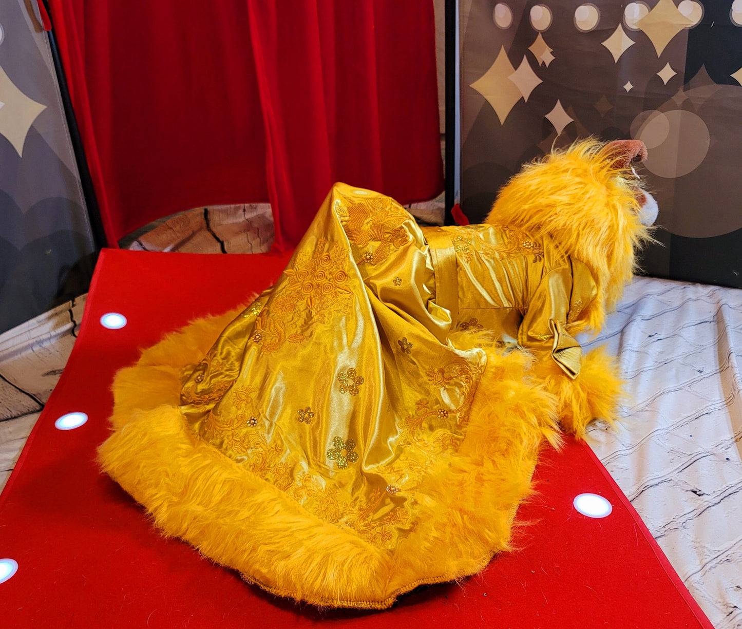 Rihanna pet dress, Rhianna dog costume, Rhianna chinese pet dress, mutt gala pet dress, Rhianna Halloween dog costume