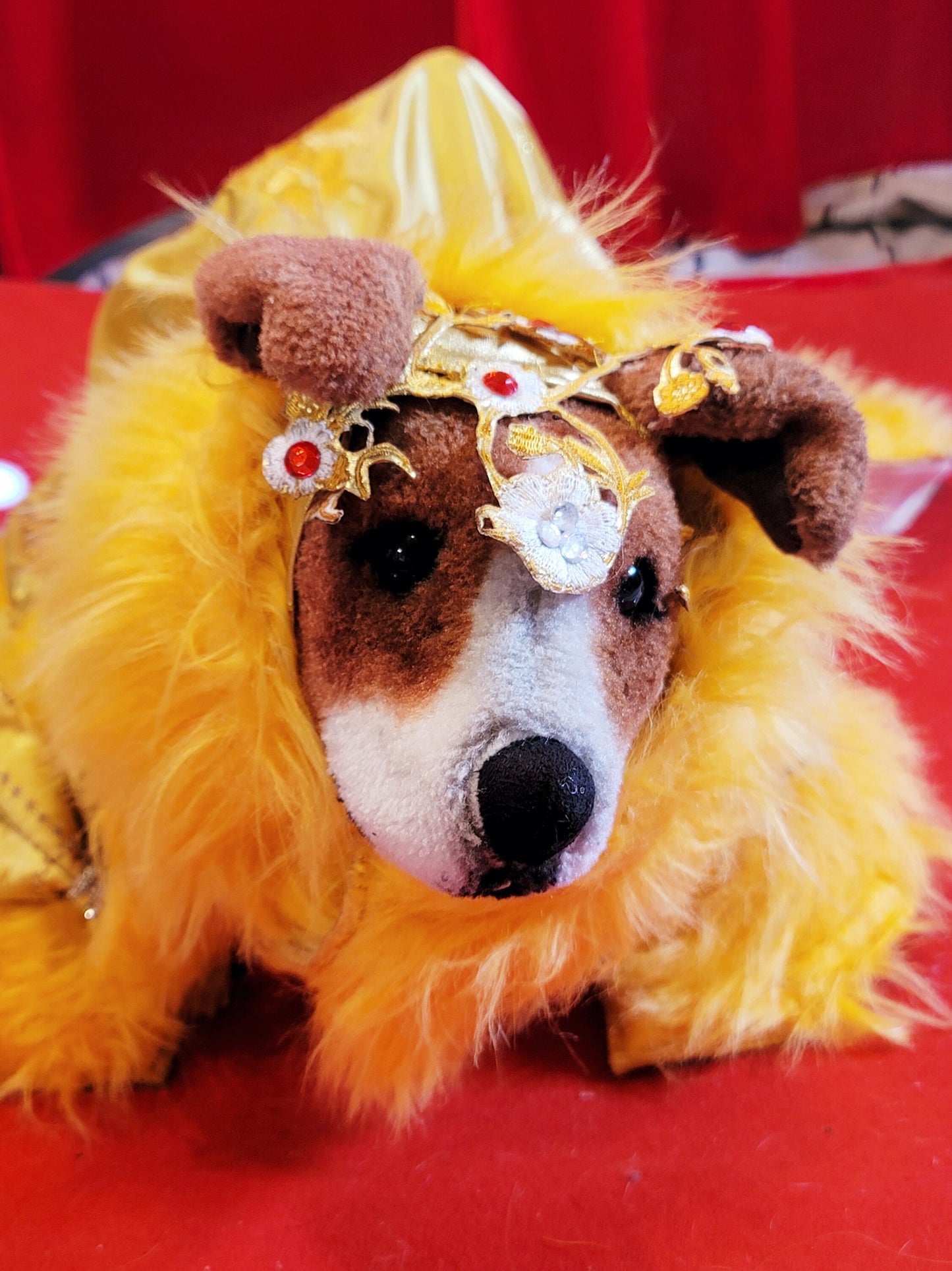 Rihanna pet dress, Rhianna dog costume, Rhianna chinese pet dress, mutt gala pet dress, Rhianna Halloween dog costume